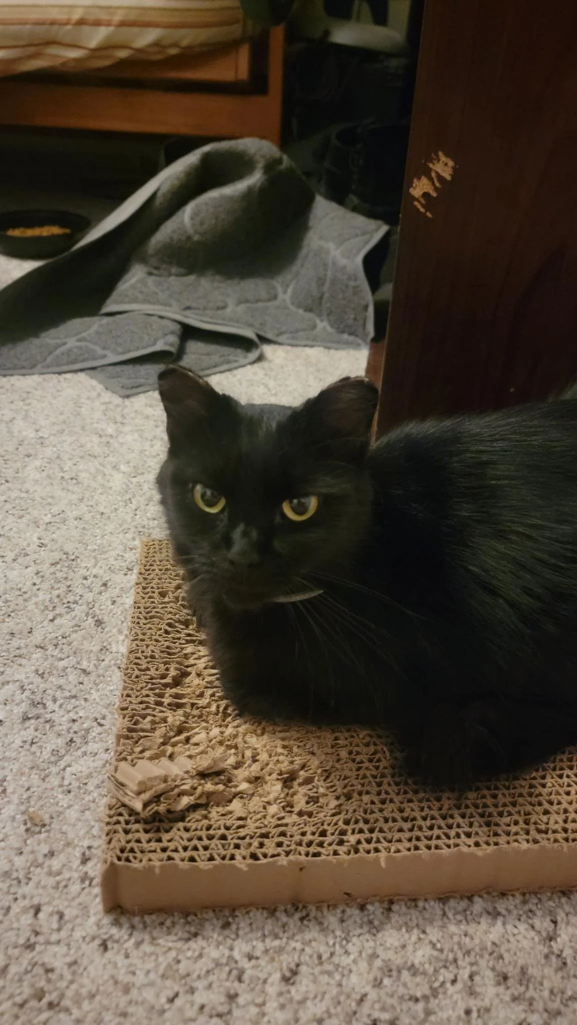 Madison F - Missy