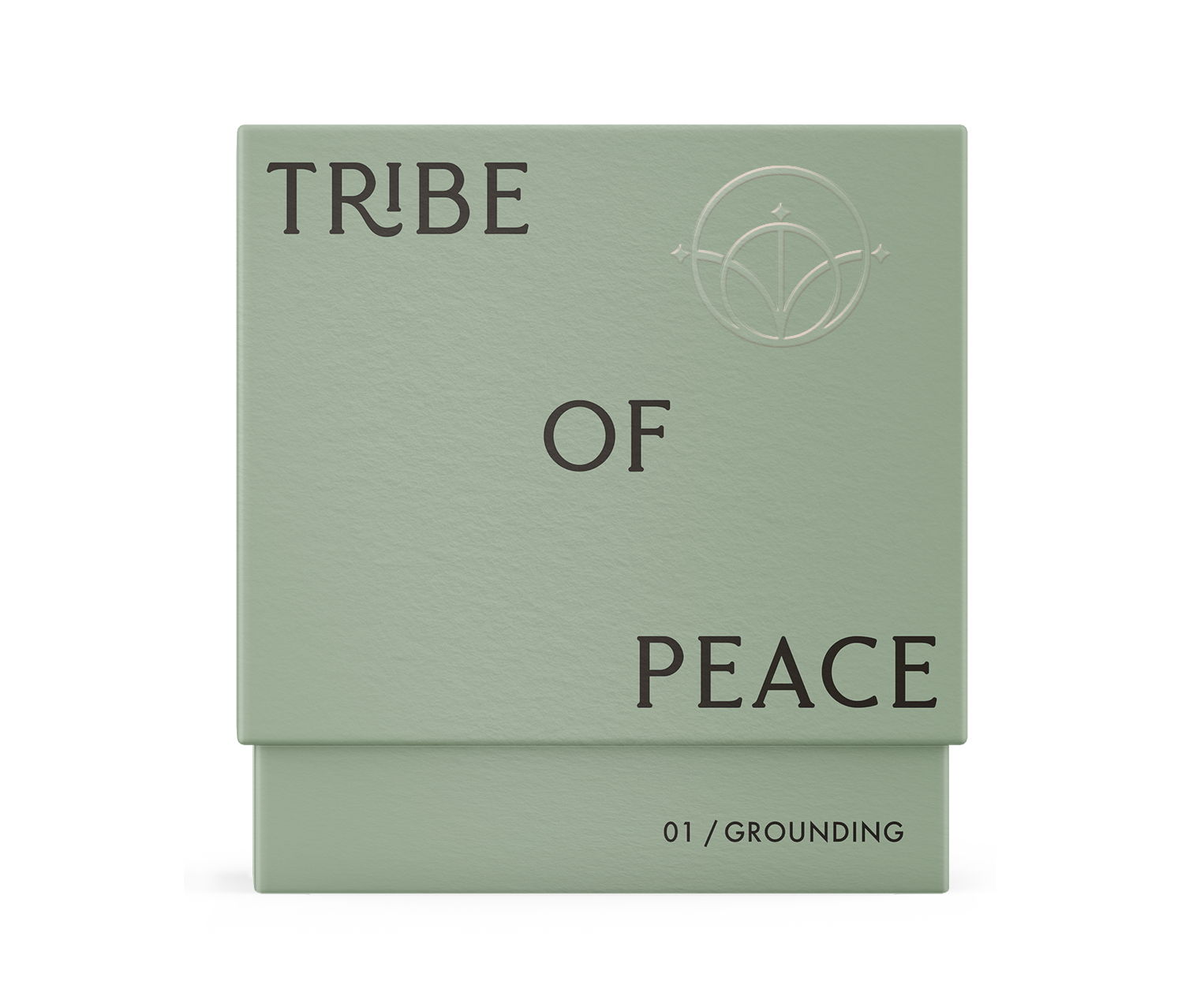 TOP_Box Mockup - Grounding_01.png
