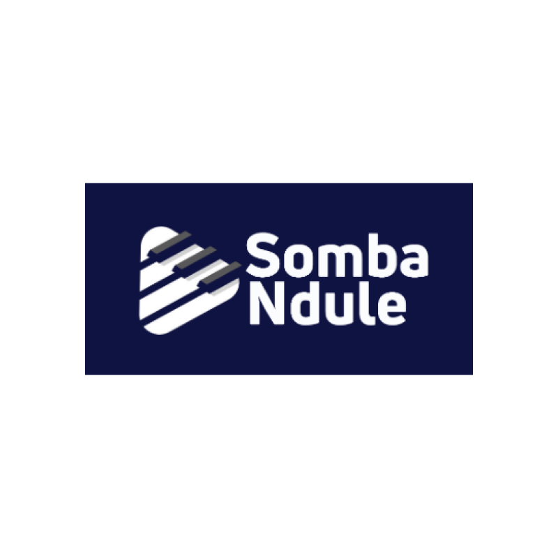 1129 MEDI Domestic Streamer logos_somba-ndule.png
