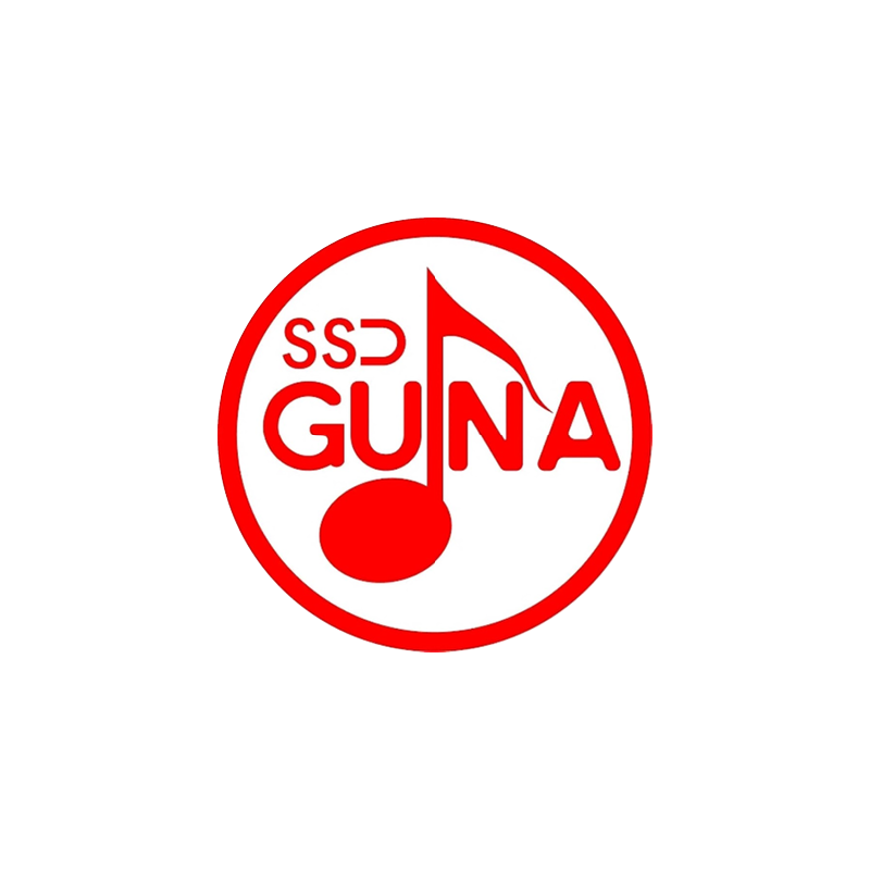 1129 MEDI Domestic Streamer logos_SSDGuna.png