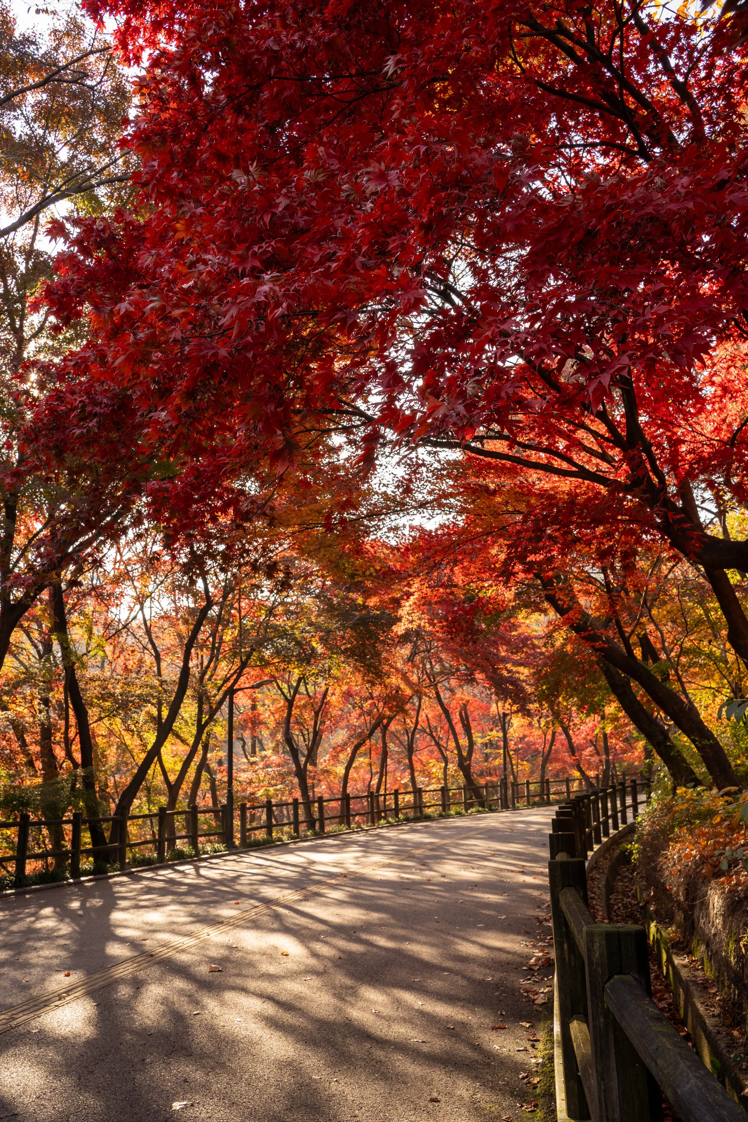 Seoul im Herbst