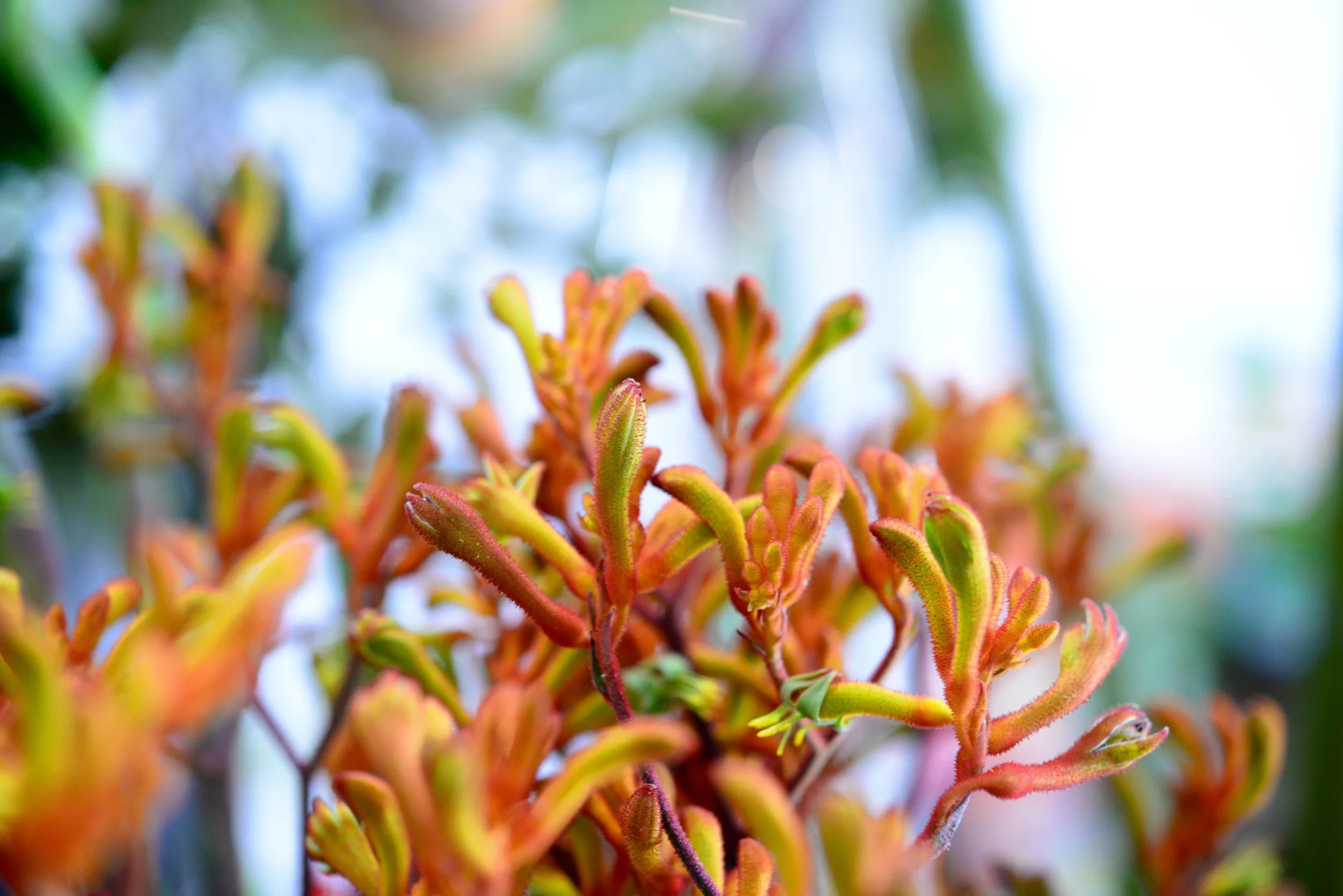 iStock-909721690.jpg