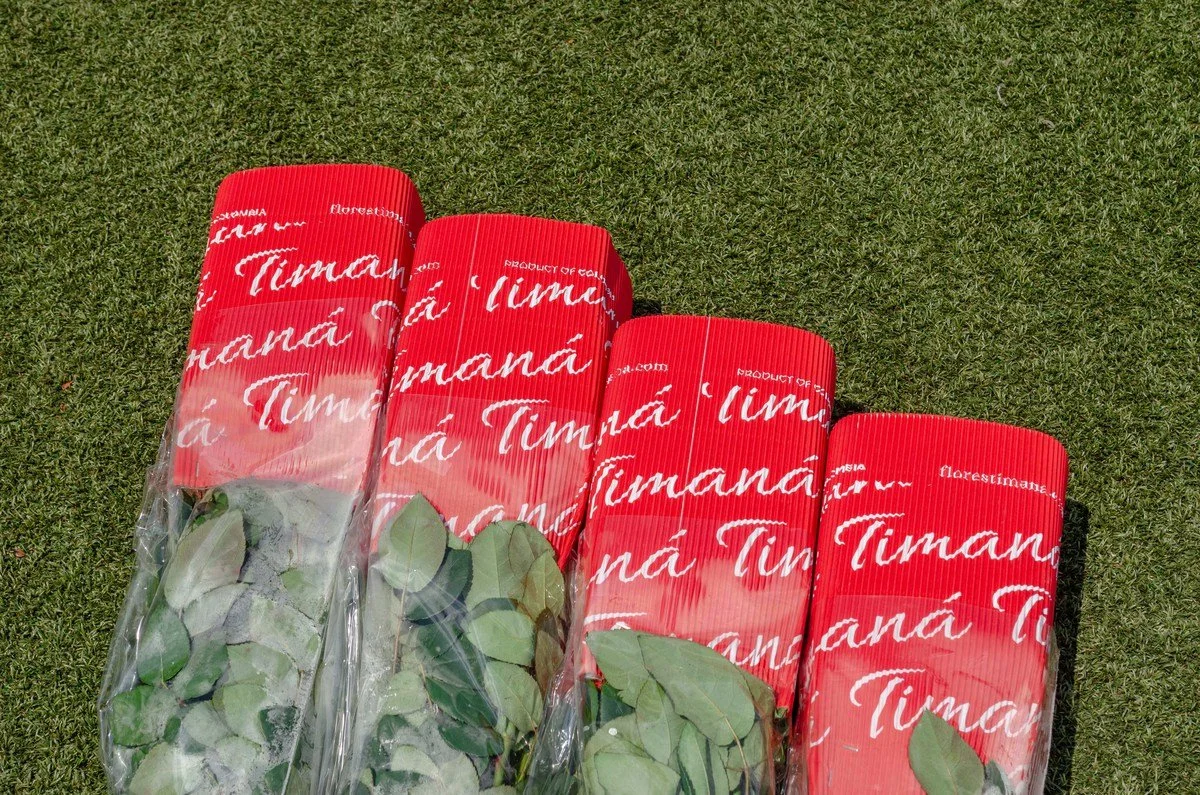 timana-8.jpg