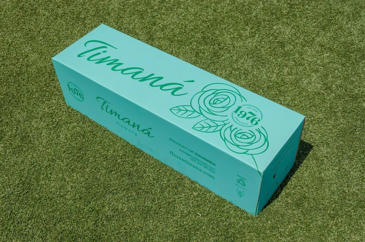 timana-6.jpg