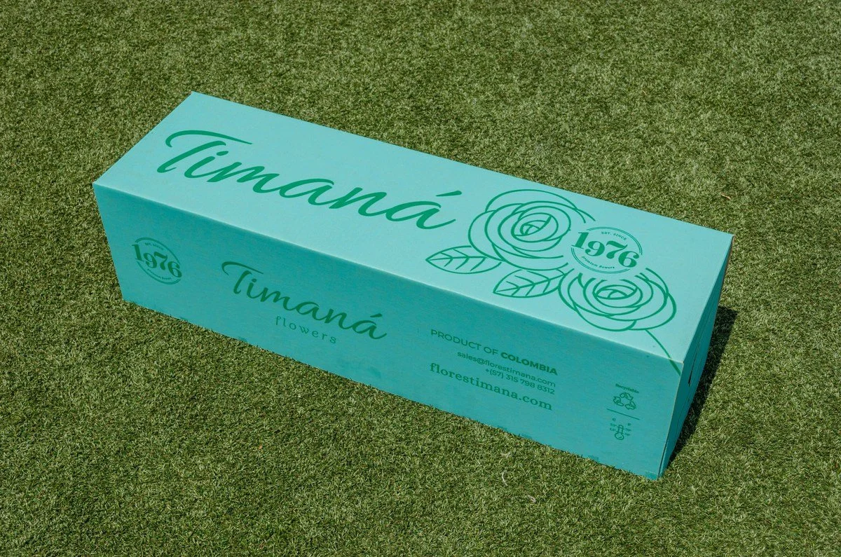 timana-5.jpg