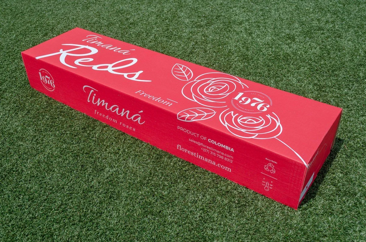 timana-4.jpg