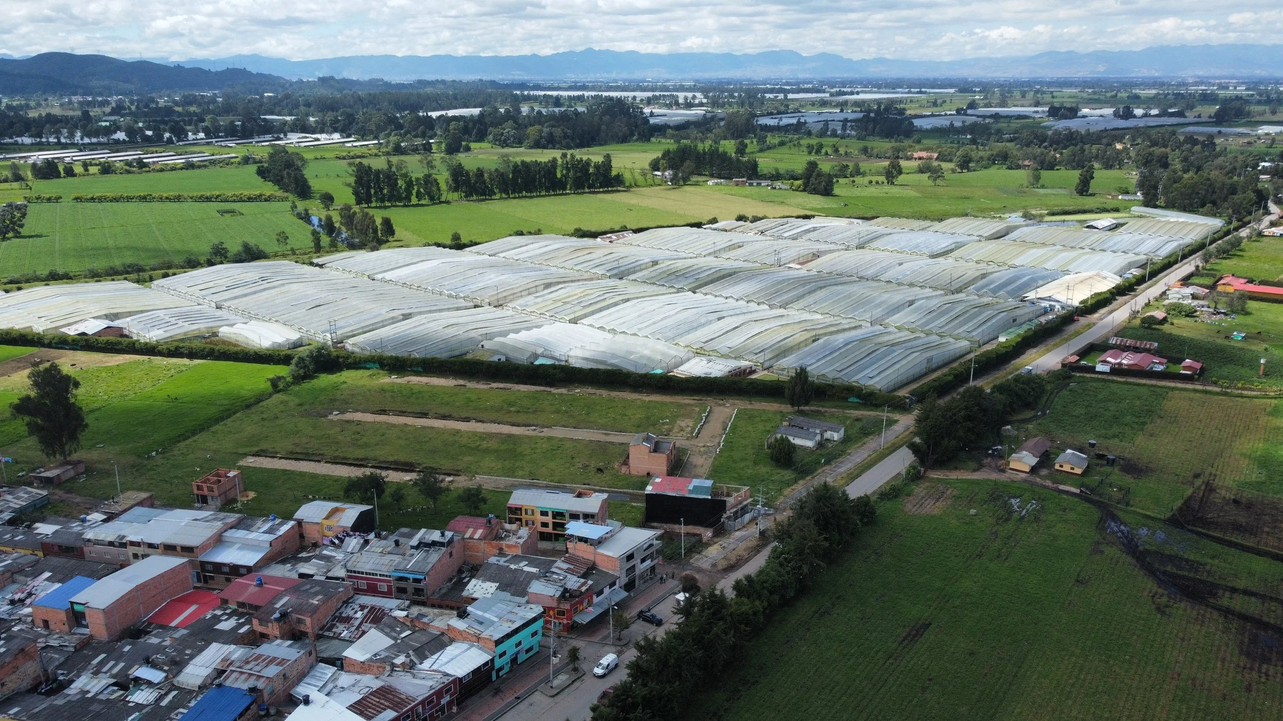 dji_fly_20220610_103400_631_1662031438437_photo_optimized.jpg