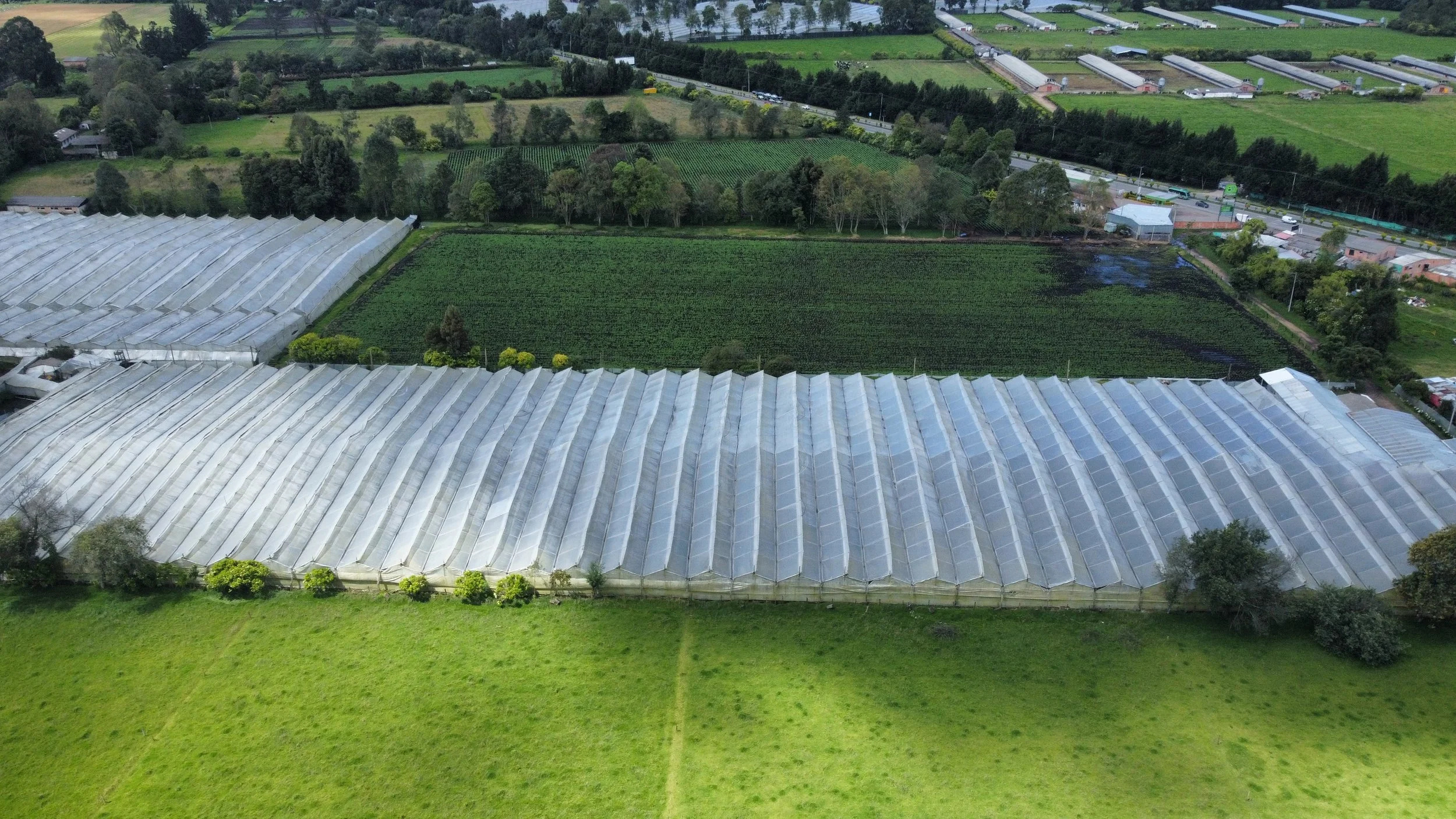 dji_fly_20220610_102818_626_1662031438432_photo_optimized.jpg