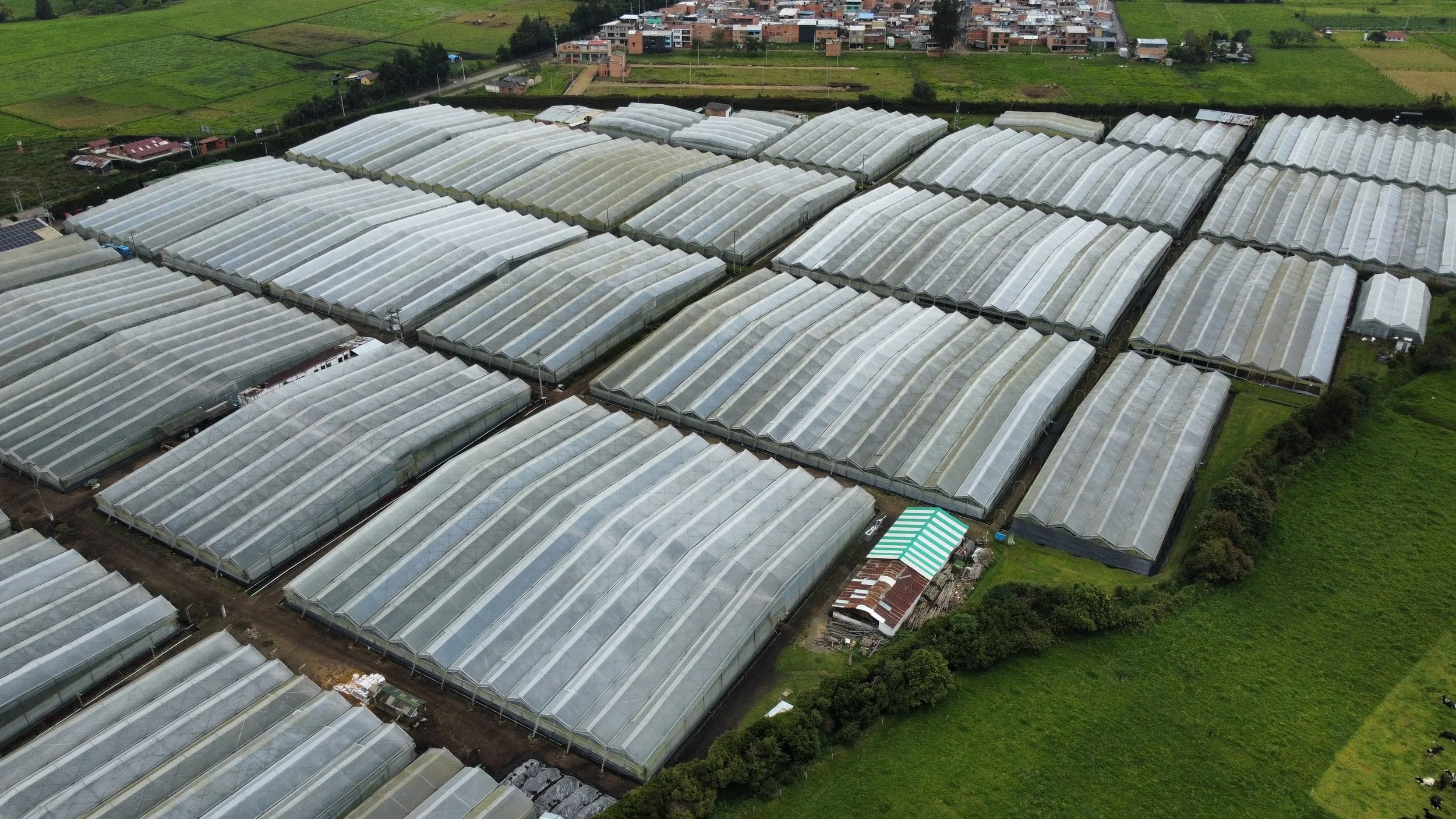 dji_fly_20230412_105754_708_1681315220816_photo_optimized.jpg