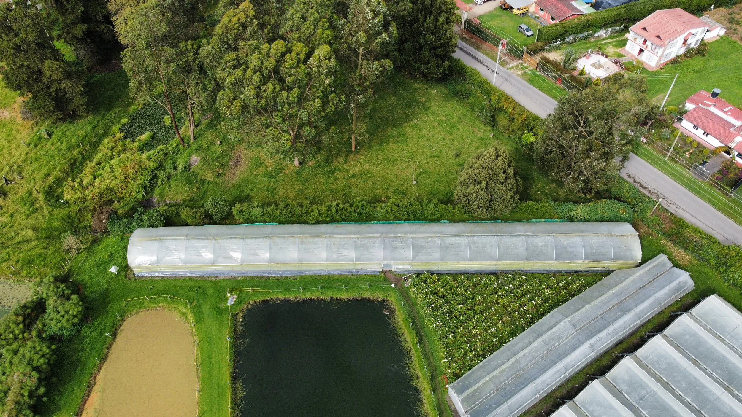 dji_fly_20230509_083314_718_1683639563053_photo_optimized.jpg