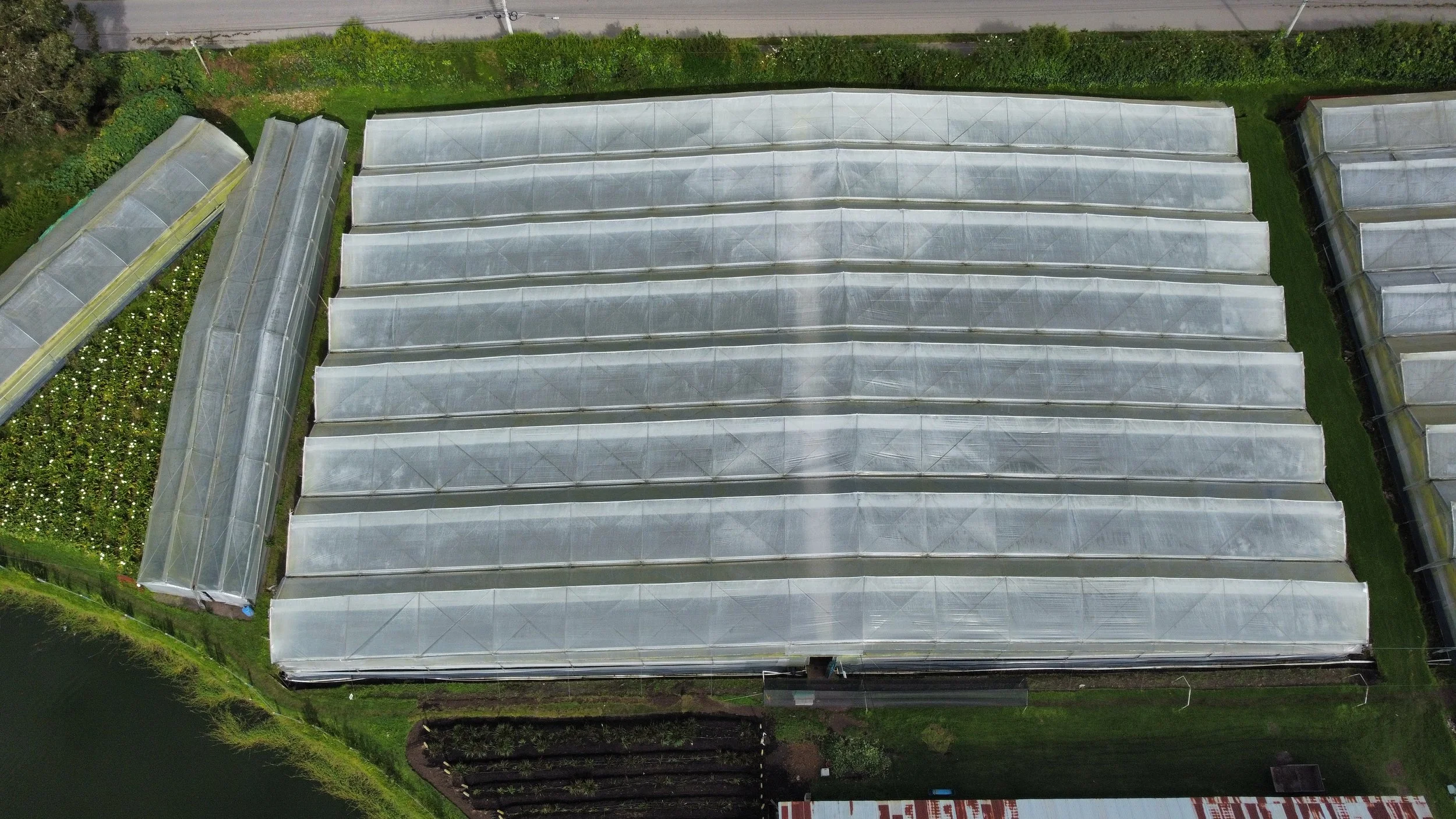 dji_fly_20230509_083326_719_1683639561602_photo_optimized.jpg