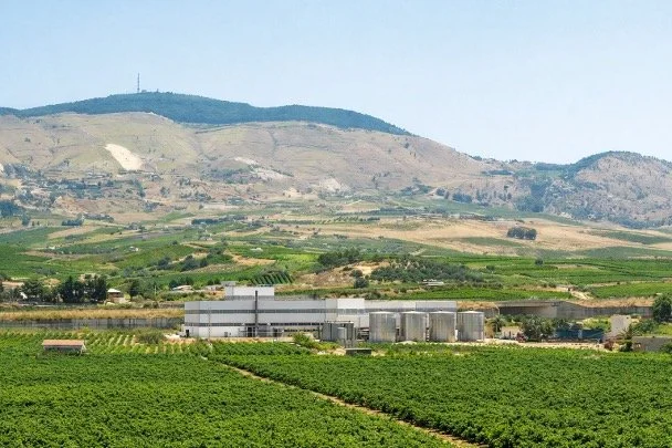 Cassara vineyard in Sicily
