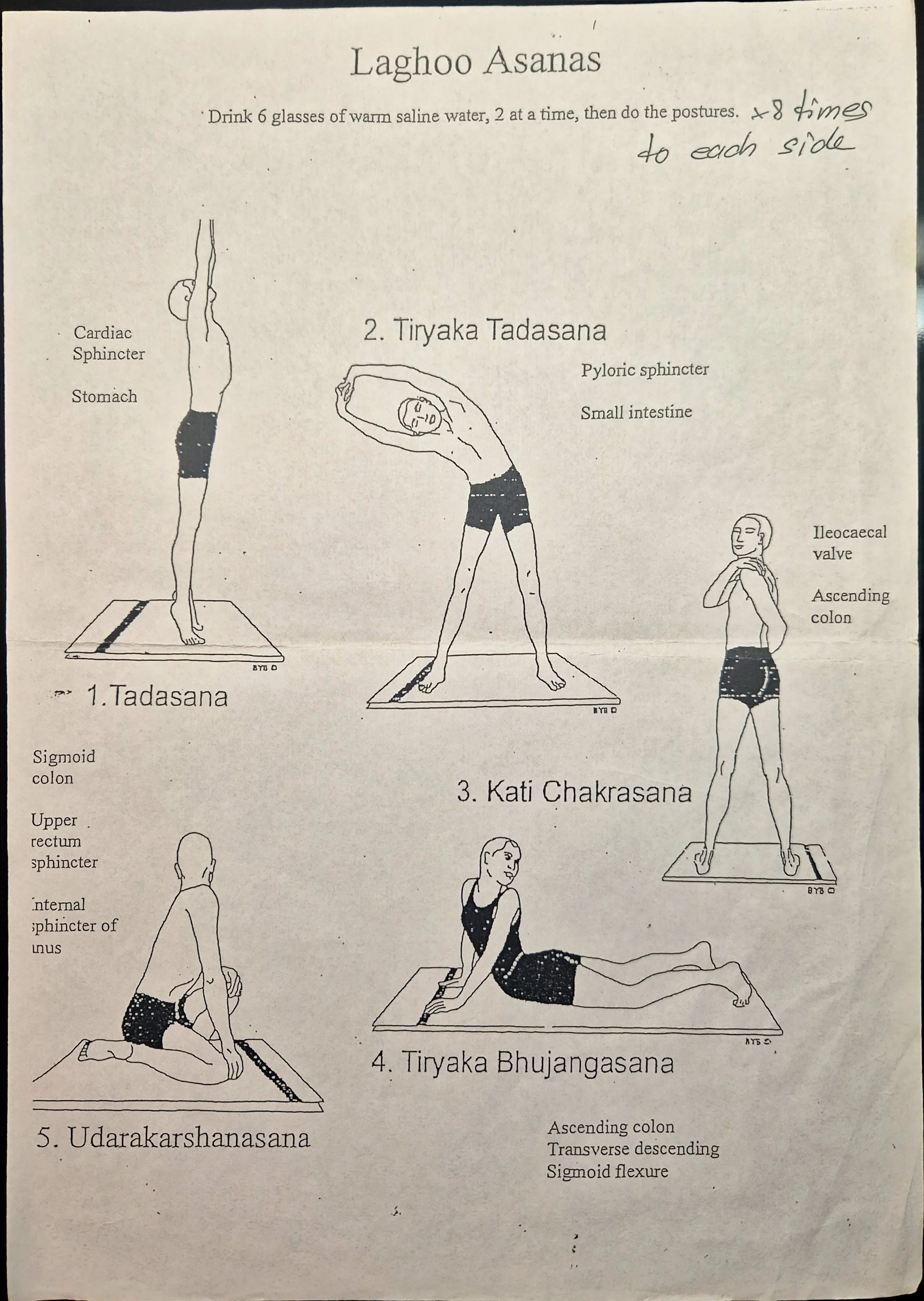 Yoga Detox Class | Jan 7th