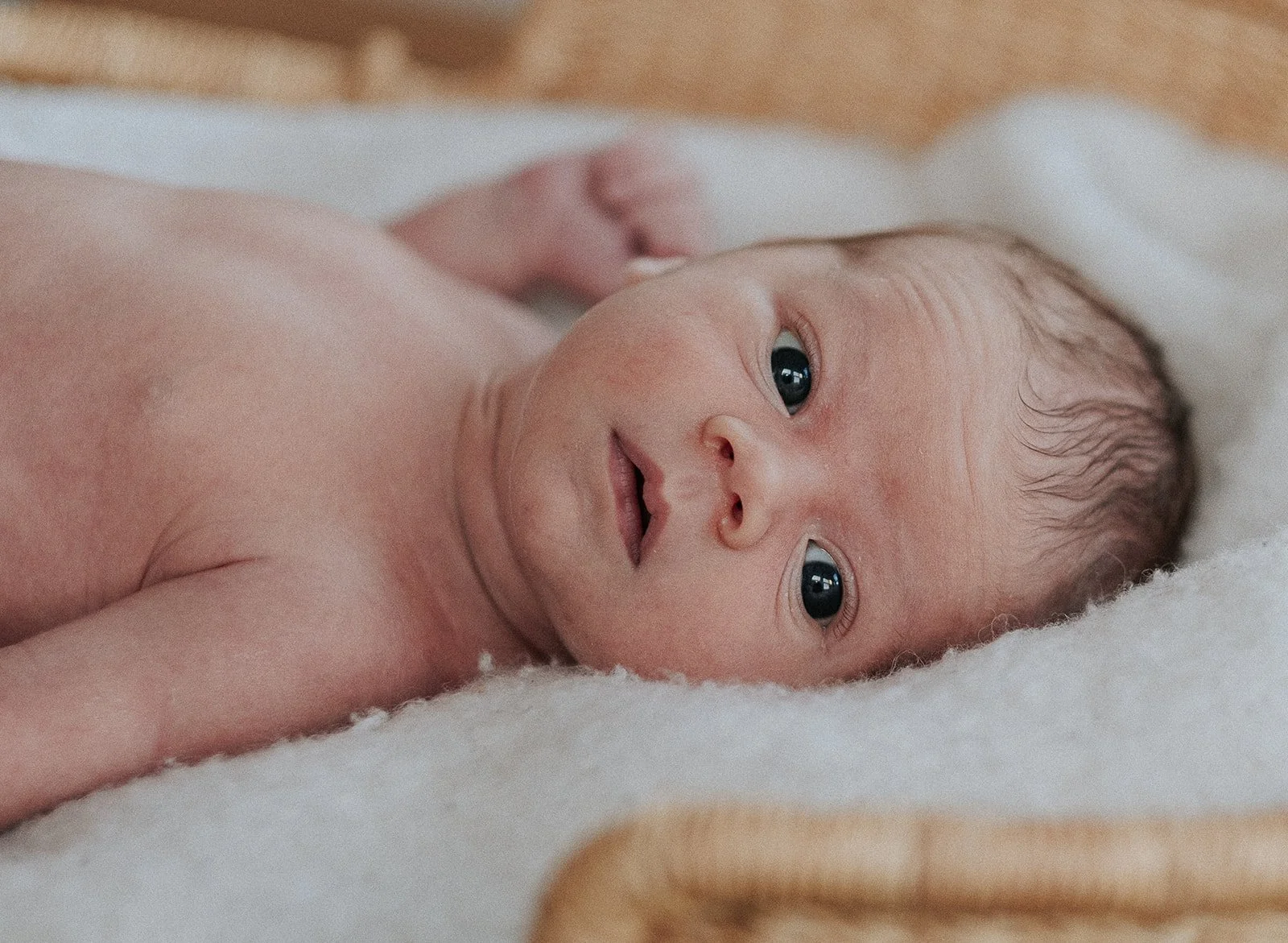 Natural Light Newborn Photography in Chicago