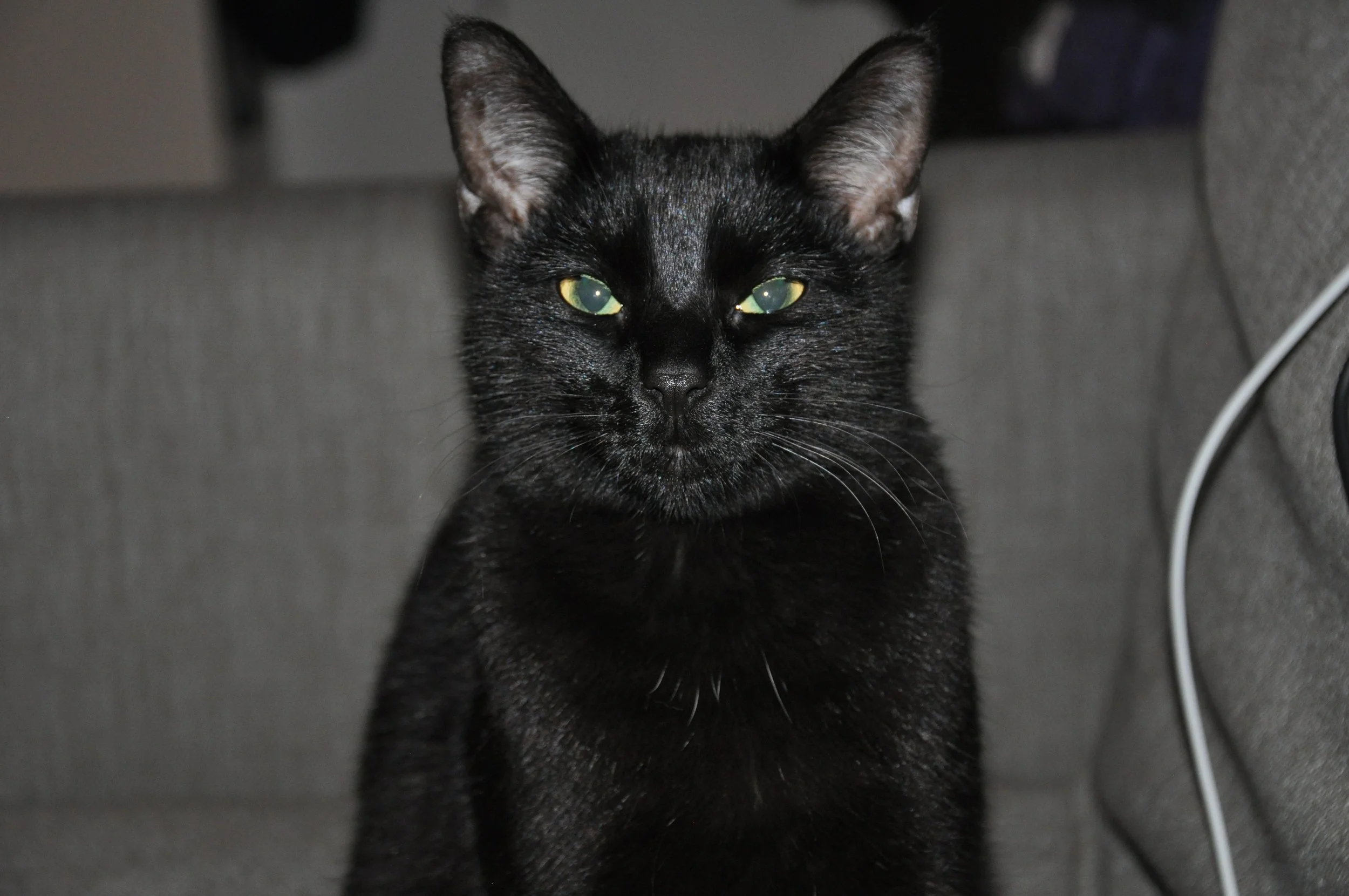 DSC_0158.JPG
