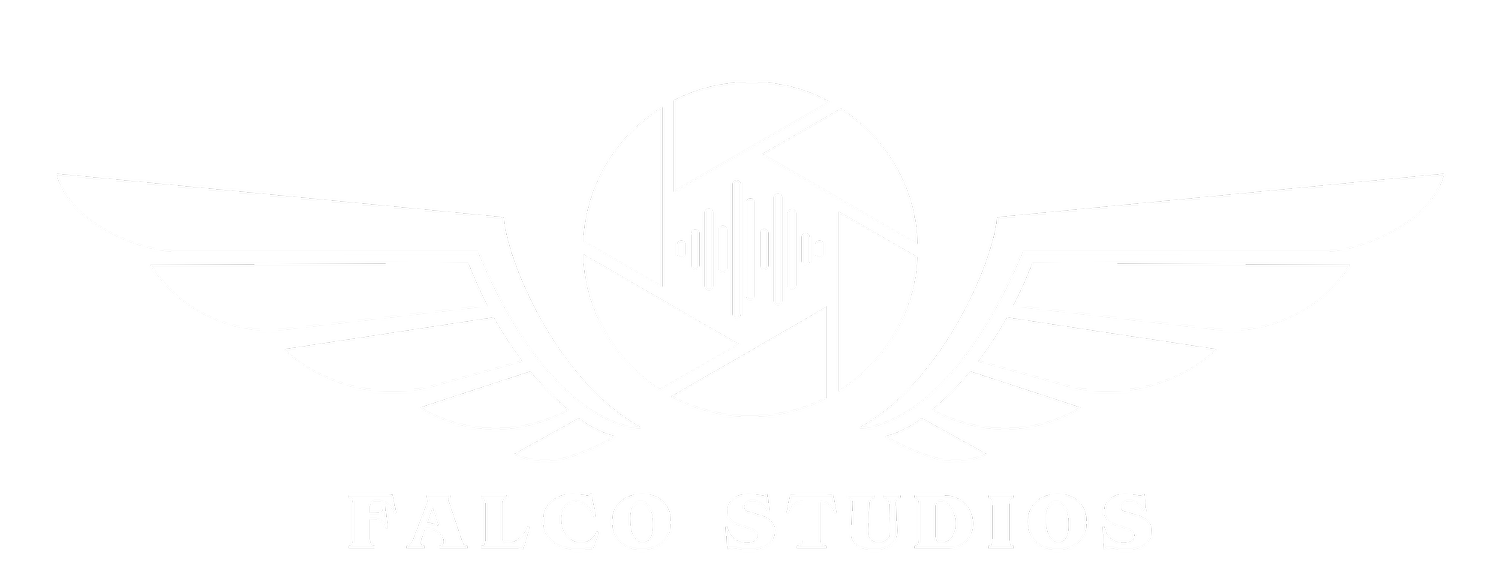 FALCO STUDIOS LLC