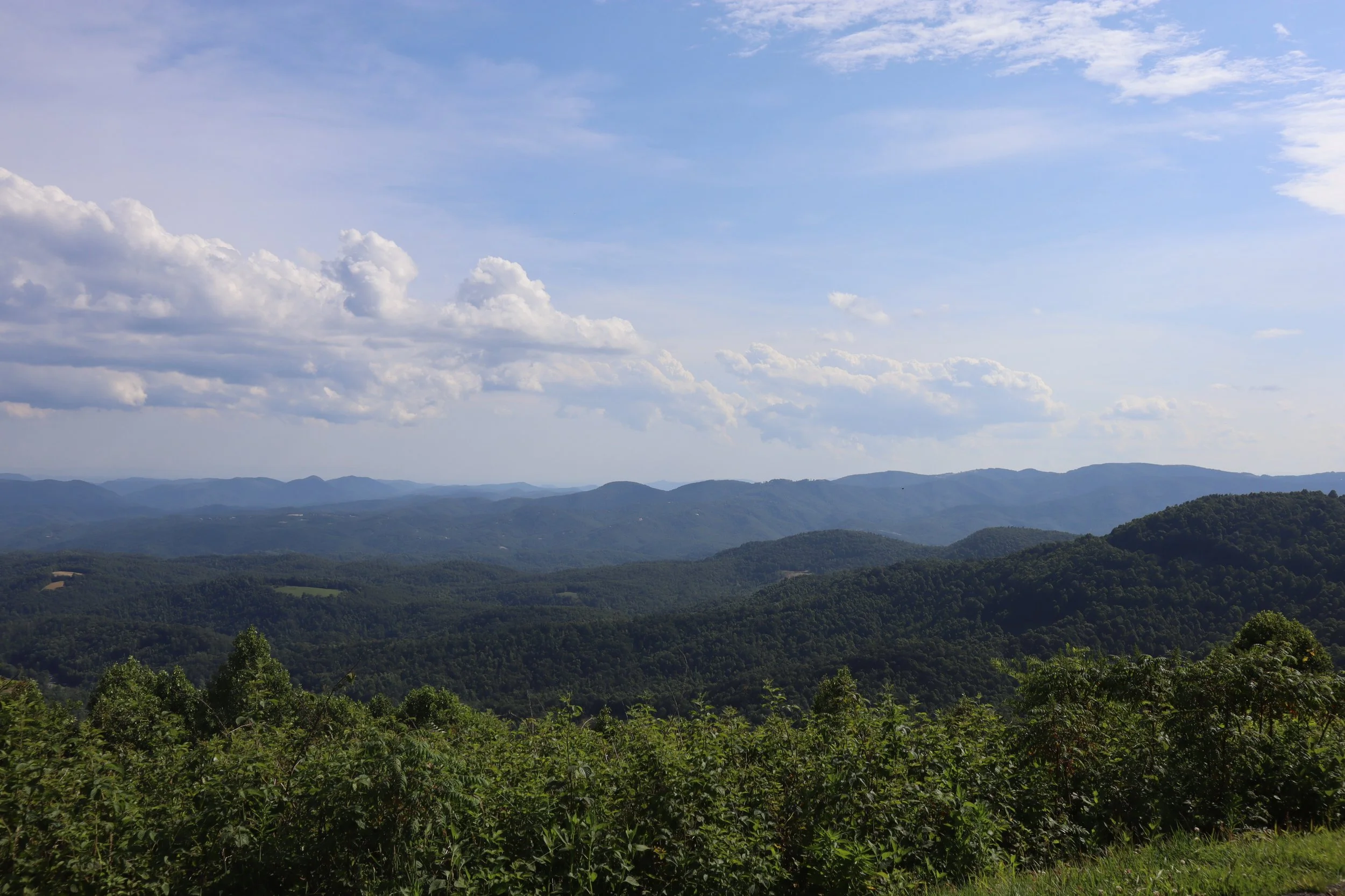 IMG_1441.JPG