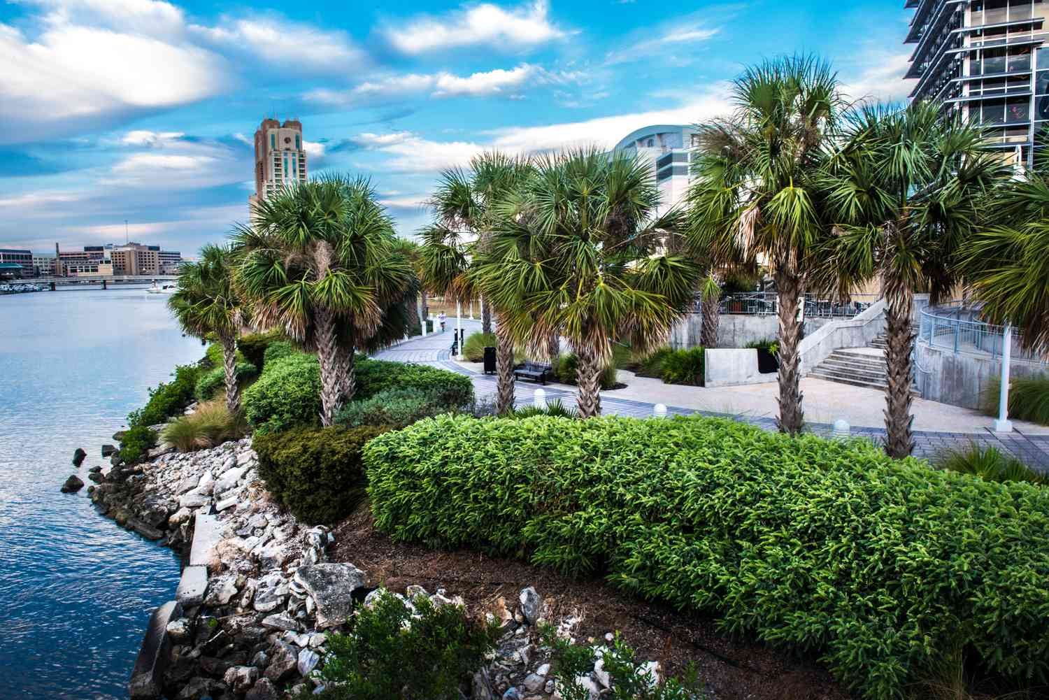 Tampa Business Market Report 2026: Who's Buying and What They're Paying