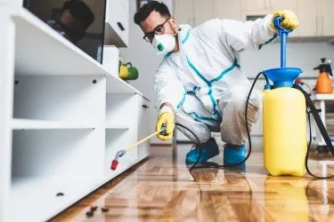 Sell My Pest Control Business in Pensacola: What Your Book Is Worth