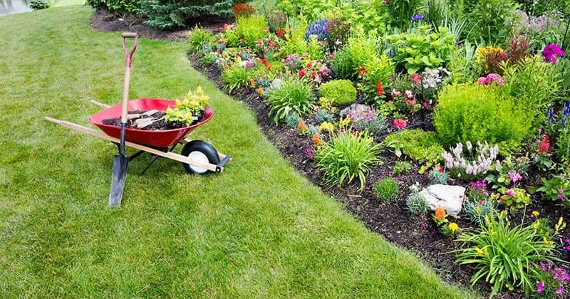 Sell My Landscaping Business in Fort Myers: Season, Labor, Price