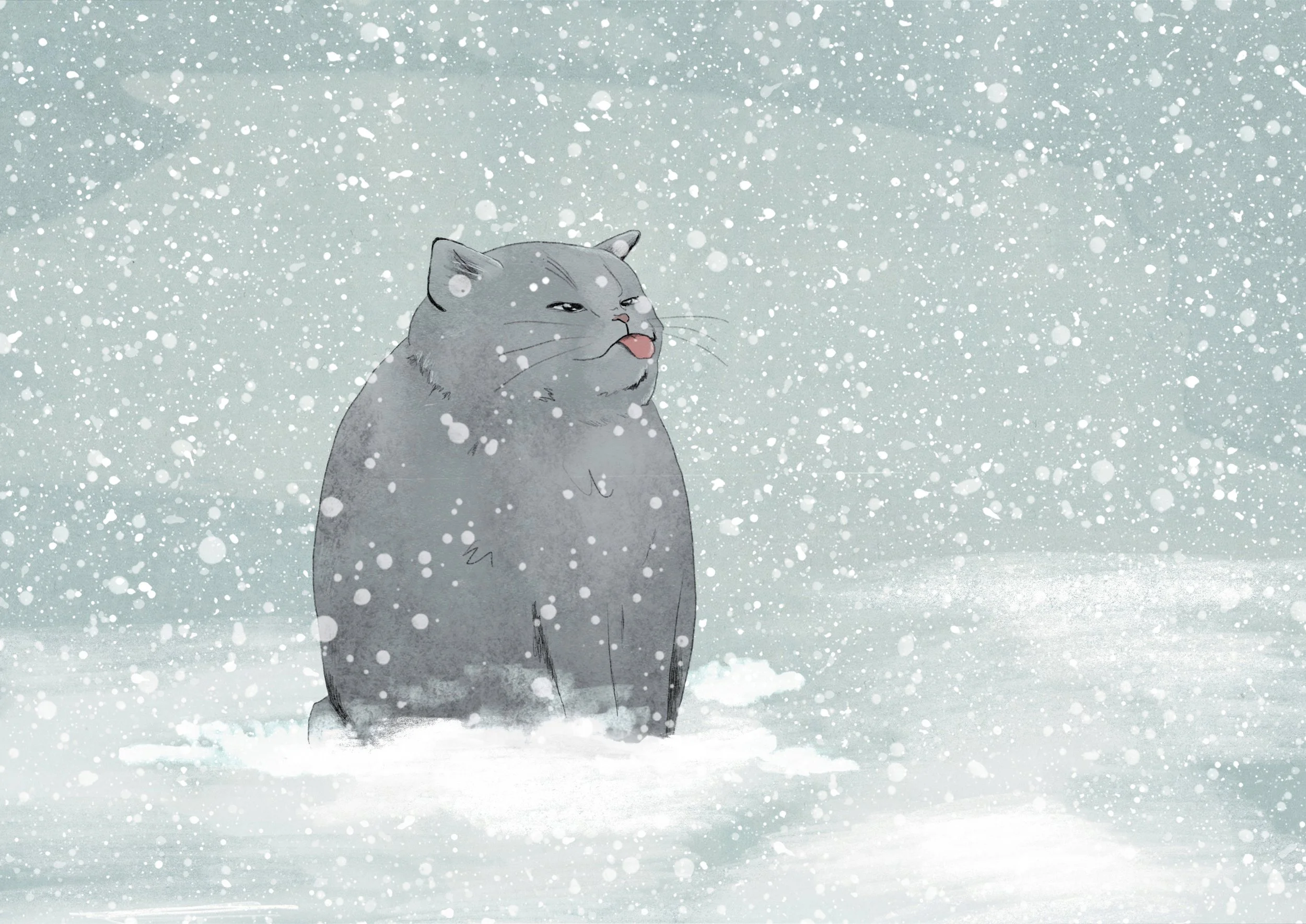 Katt snø a4.jpg