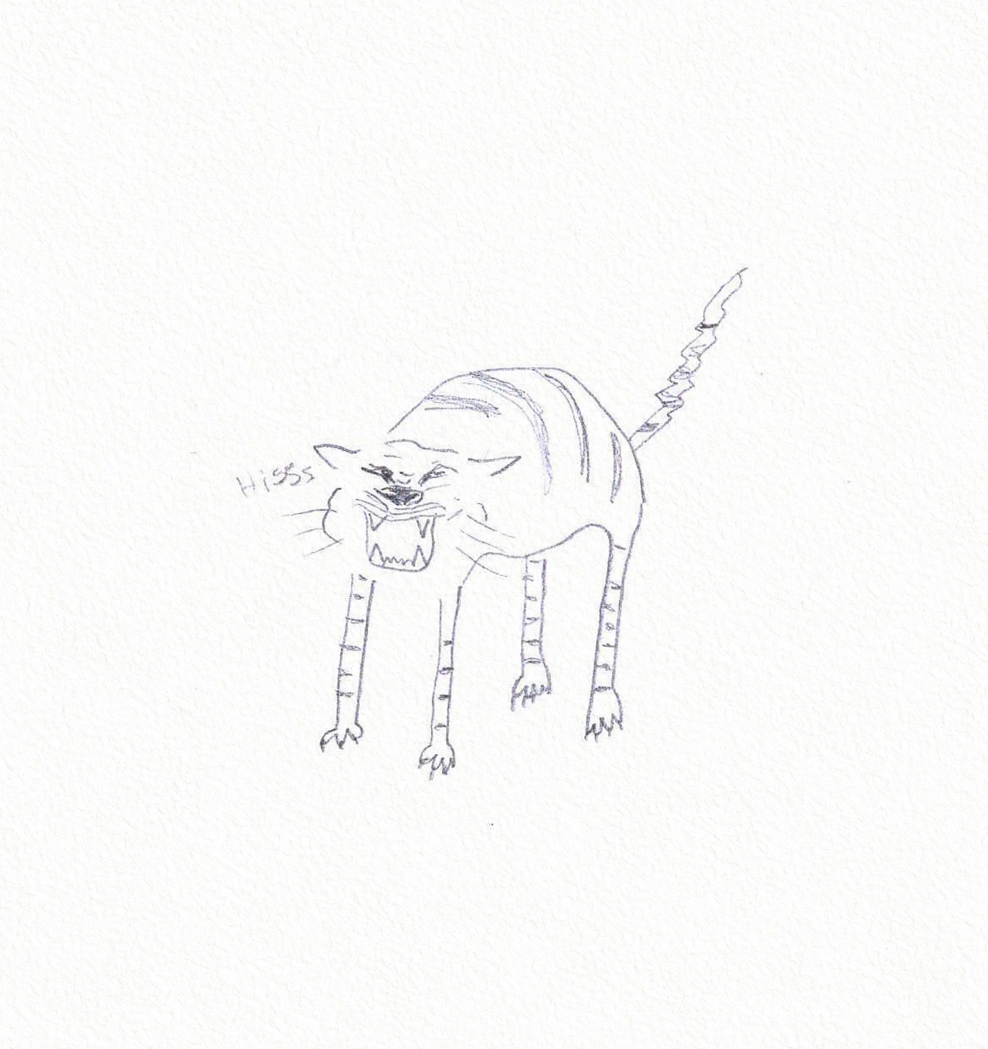 hiss kopi.jpg