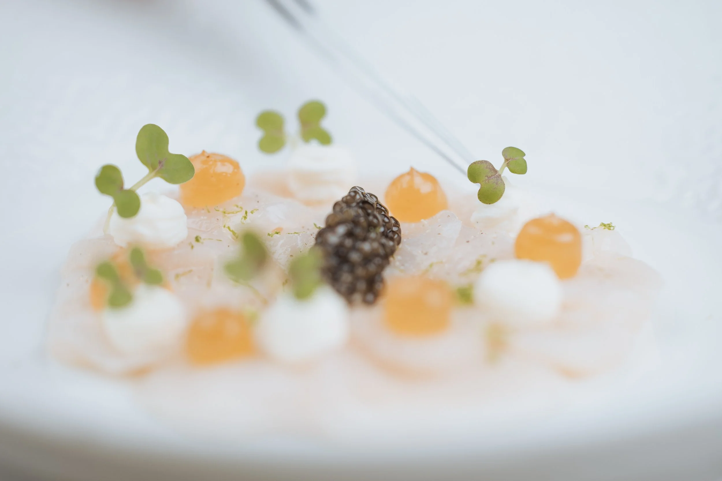 Geneat food-202.jpg