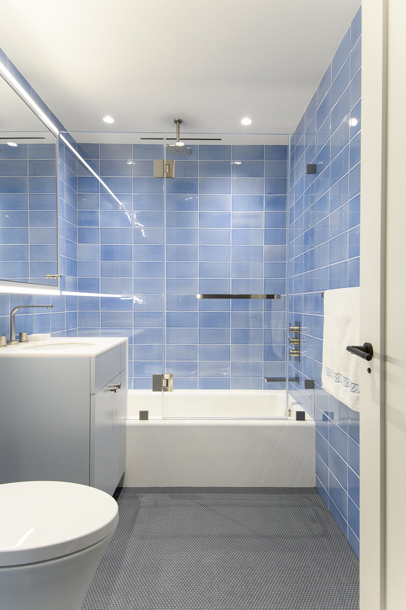 Blue Bathroom Tile NY Home.jpg