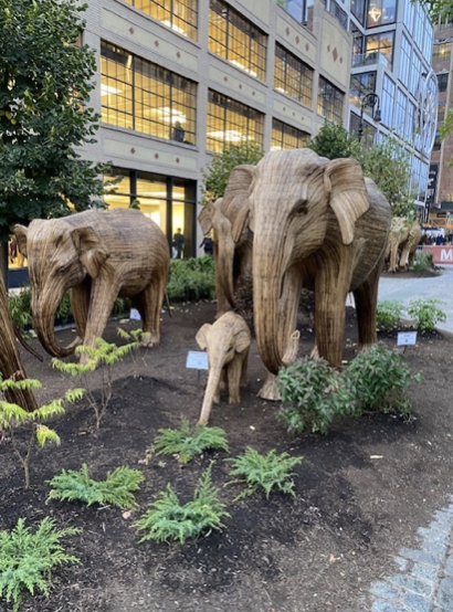 The Great Elephant Migration Blog image.png