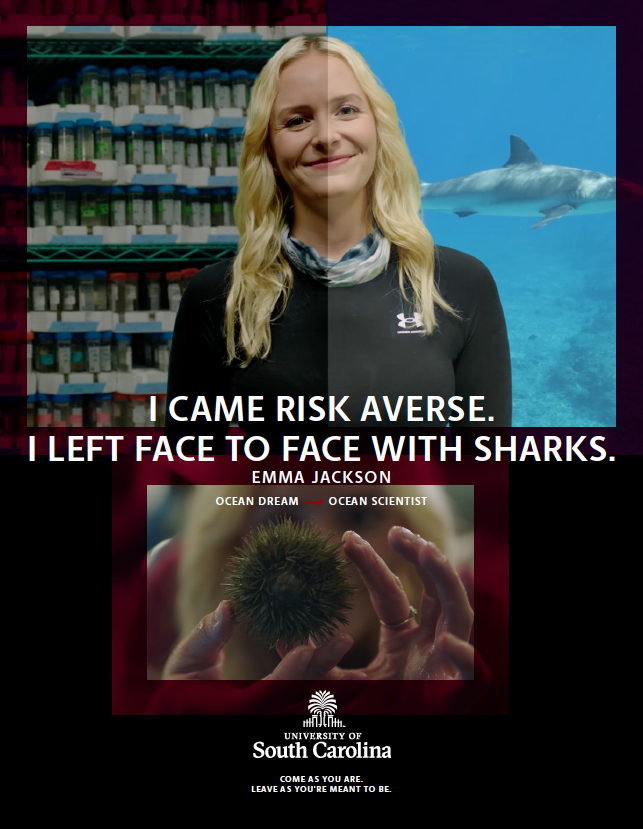A woman with blonde hair standing in front of a split screen background showing an ocean and sharks on the right and a pharmacy shelf on the left. She is wearing a black shirt and a neck gaiter. Overlayed text reads, "I CAME RISK AVERSE. I LEFT FACE TO FACE WITH SHARKS." Below, a smaller image shows a close-up of hands holding a sea urchin with the text "OCEAN DREAM OCEAN SCIENTIST." At the bottom, the logo and name of the University of South Carolina, along with the phrase "COME AS YOU ARE. LEAVE AS YOU'RE MEANT TO BE."