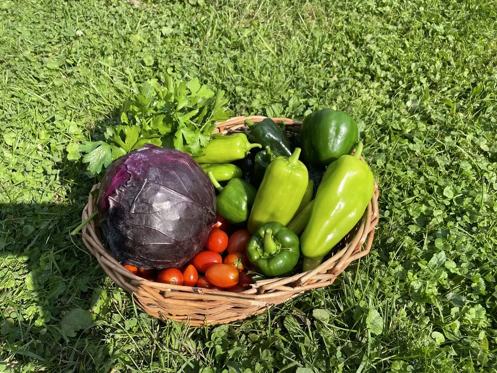 Cultivating Community: