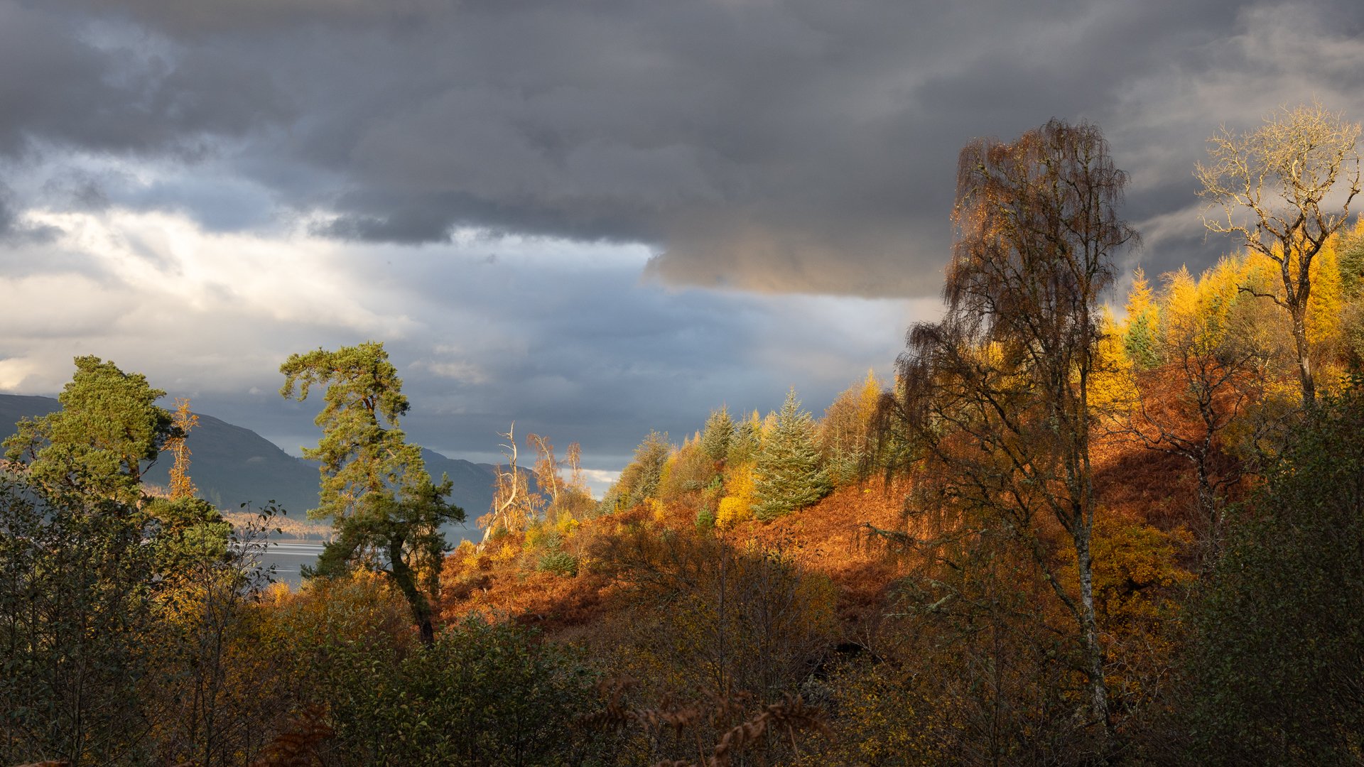 Evening light