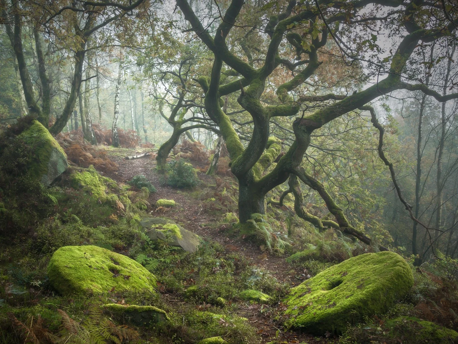 Millstones & Moss.jpg