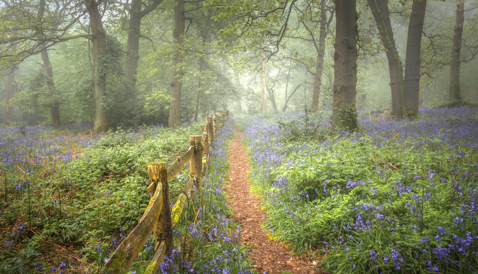 Spring Path