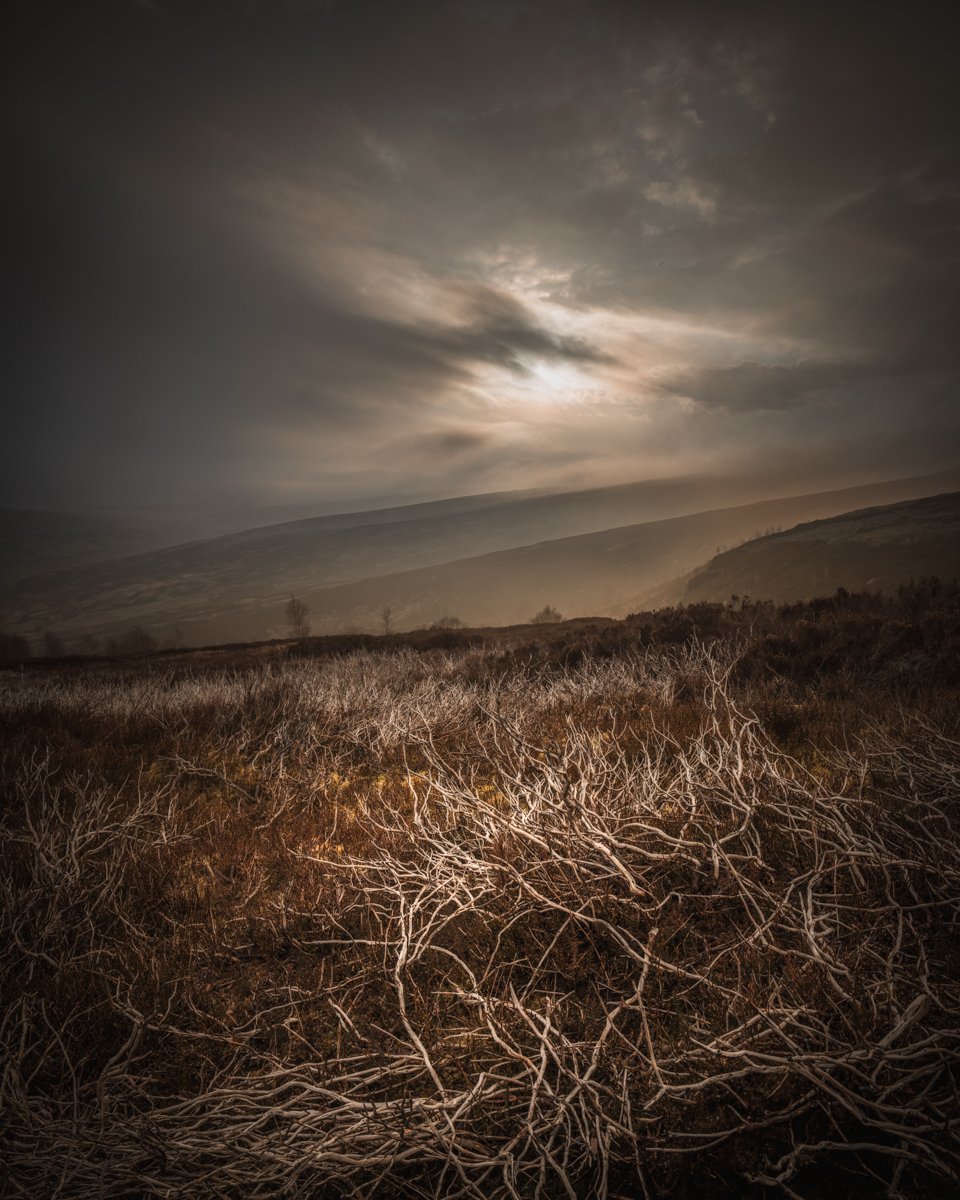 Dark Moors Study 3.jpg