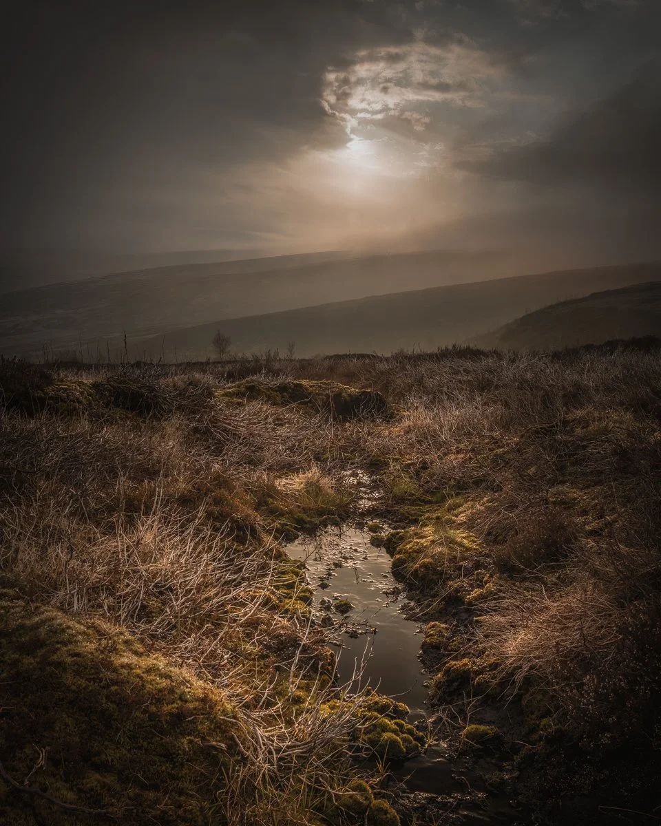 Dark Moors Study 2.jpg