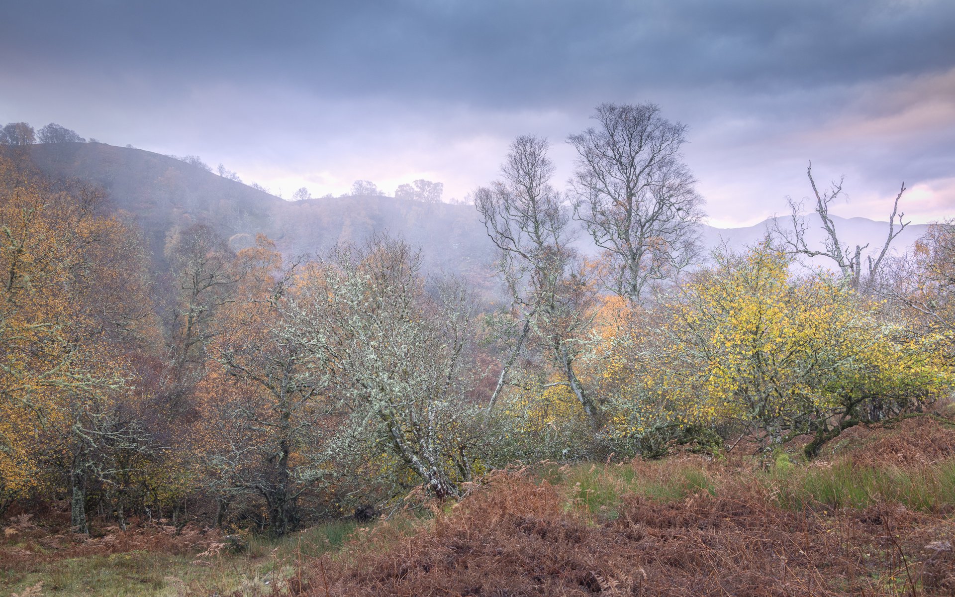 A Sottish Scene