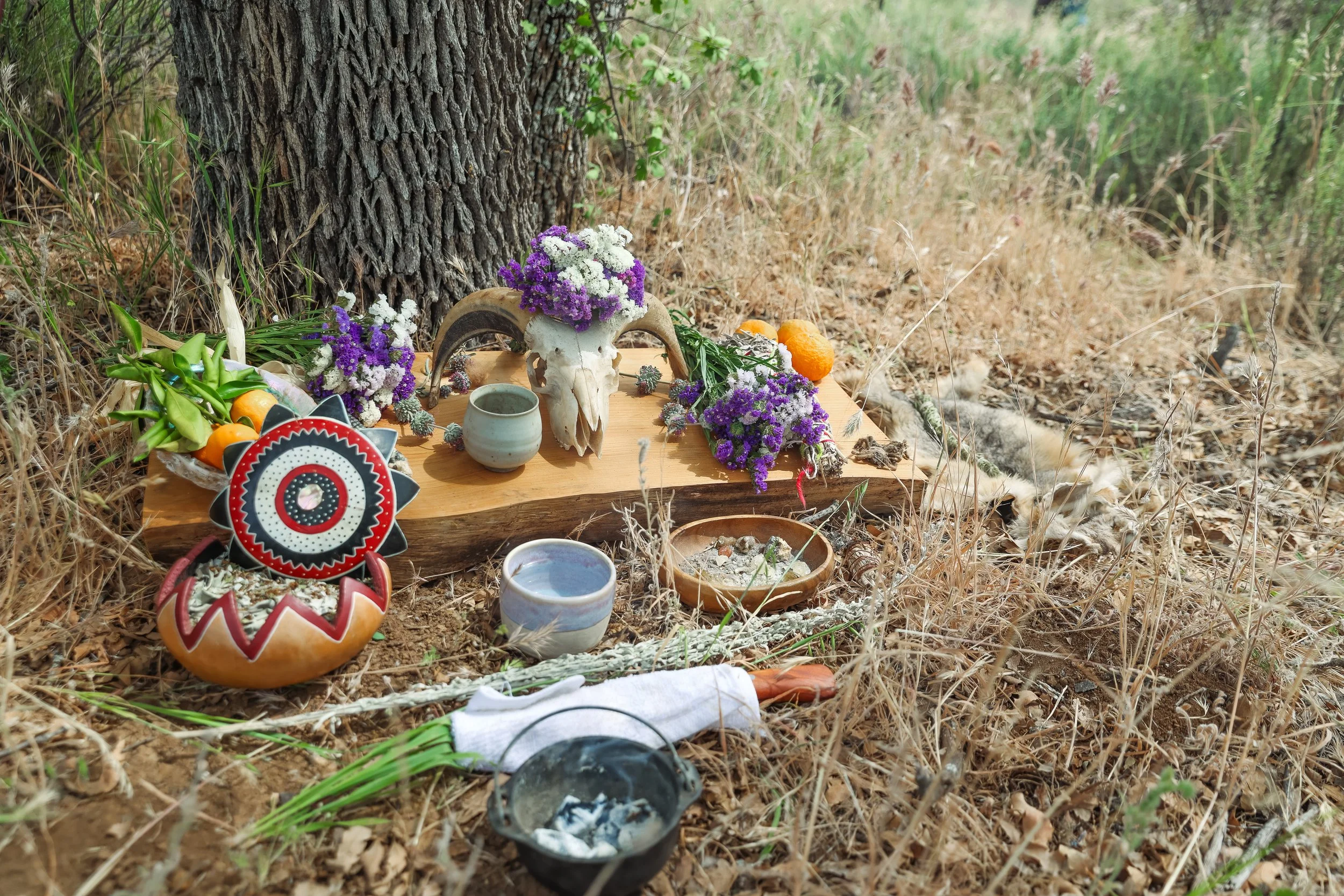 Manna_Shoshana_-024.jpg