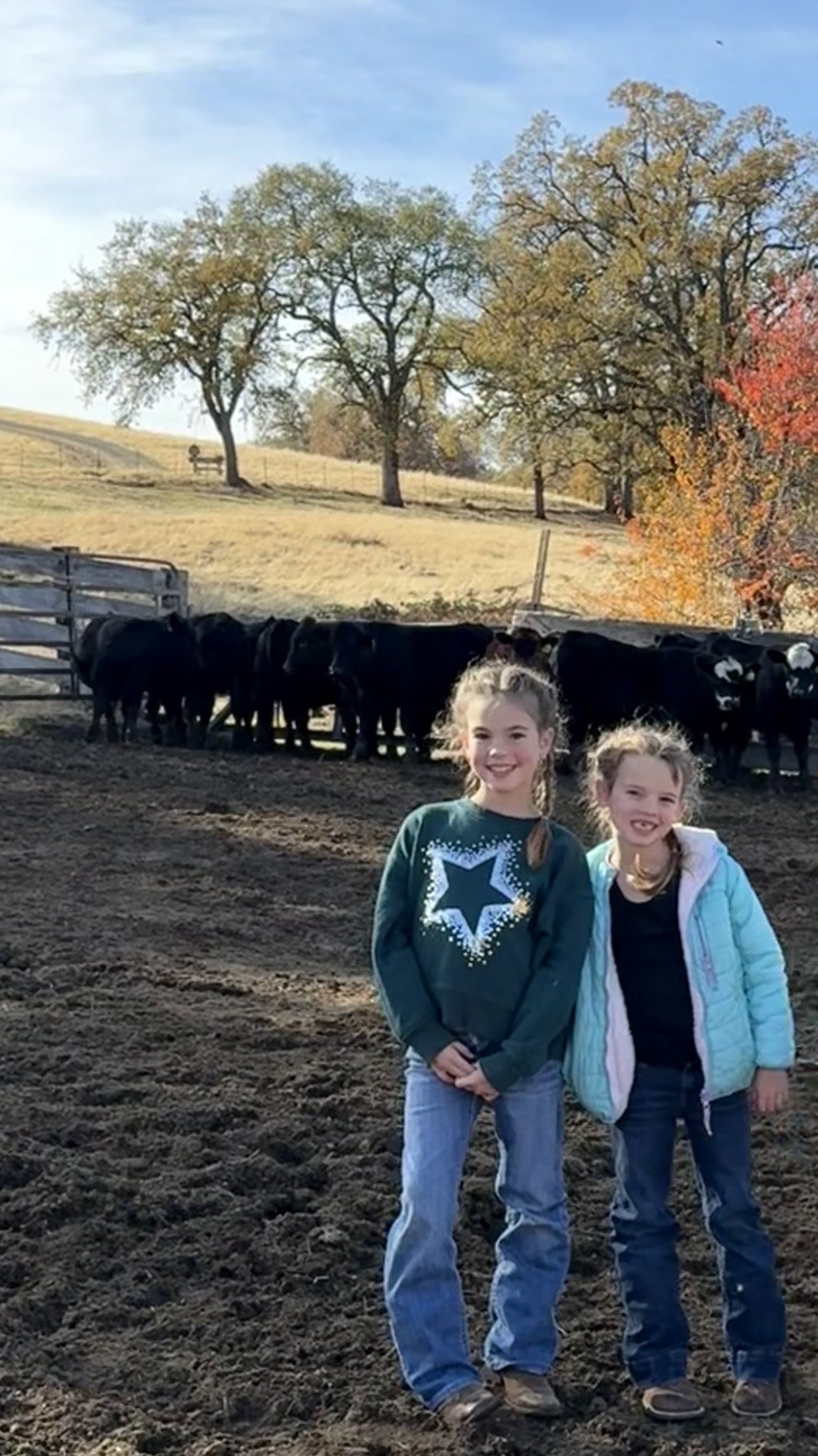 Two young girls standing in front of a group of cows on a farm, with trees and a blue sky in the background, during fall.