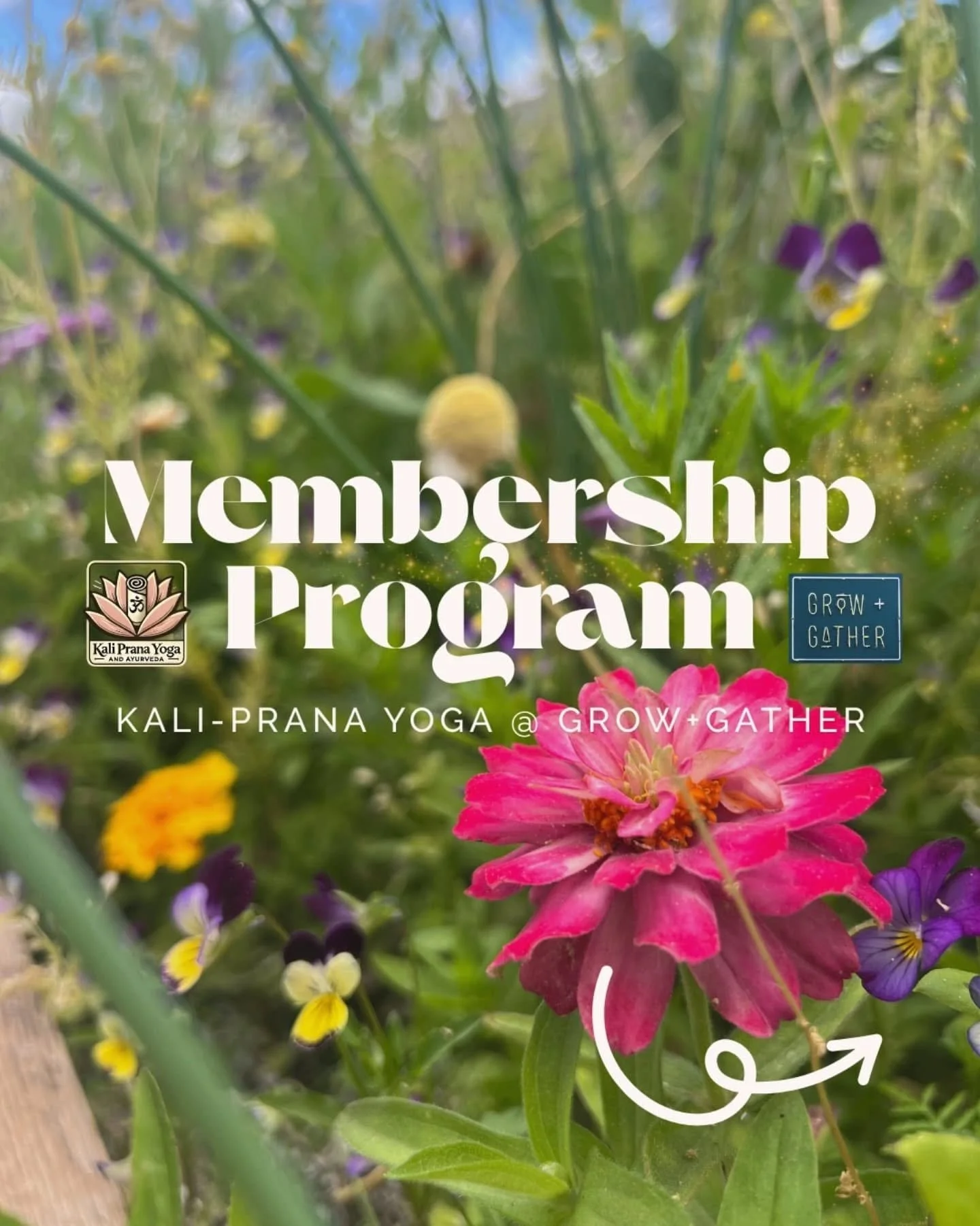 🌱✨ Memberships are HERE! ✨🌱

We&rsquo;re so excited to share our 2 membership options created to deepen your practice and grow with our community at Kali-Prana Yoga x Grow + Gather 🌸

💫 Growing Prana &ndash; $108/month
&ndash; Unlimited yoga + ev