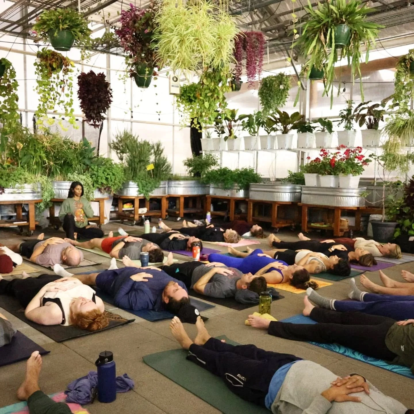 🌱 Six Months of Growth at @kali.prana.yoga with Grow + Gather!! @growgatherenglewood ✨

It&rsquo;s wild to think it&rsquo;s been six months since Kali-Prana Yoga Collective found a home at Grow + Gather. Last year, what started in Chipeta Park in Ne