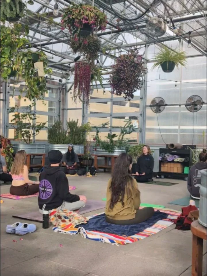 Saturday's 75-min Sound+Flow with @angela.isawitch and rotating sound practitioners amongst the greenery @growgatherenglewood is a sweet vibe ✨ Pop downstairs &amp; grab some ☕ after with us 🤍

Check out kali-prana.com to book your class!

Happy pra