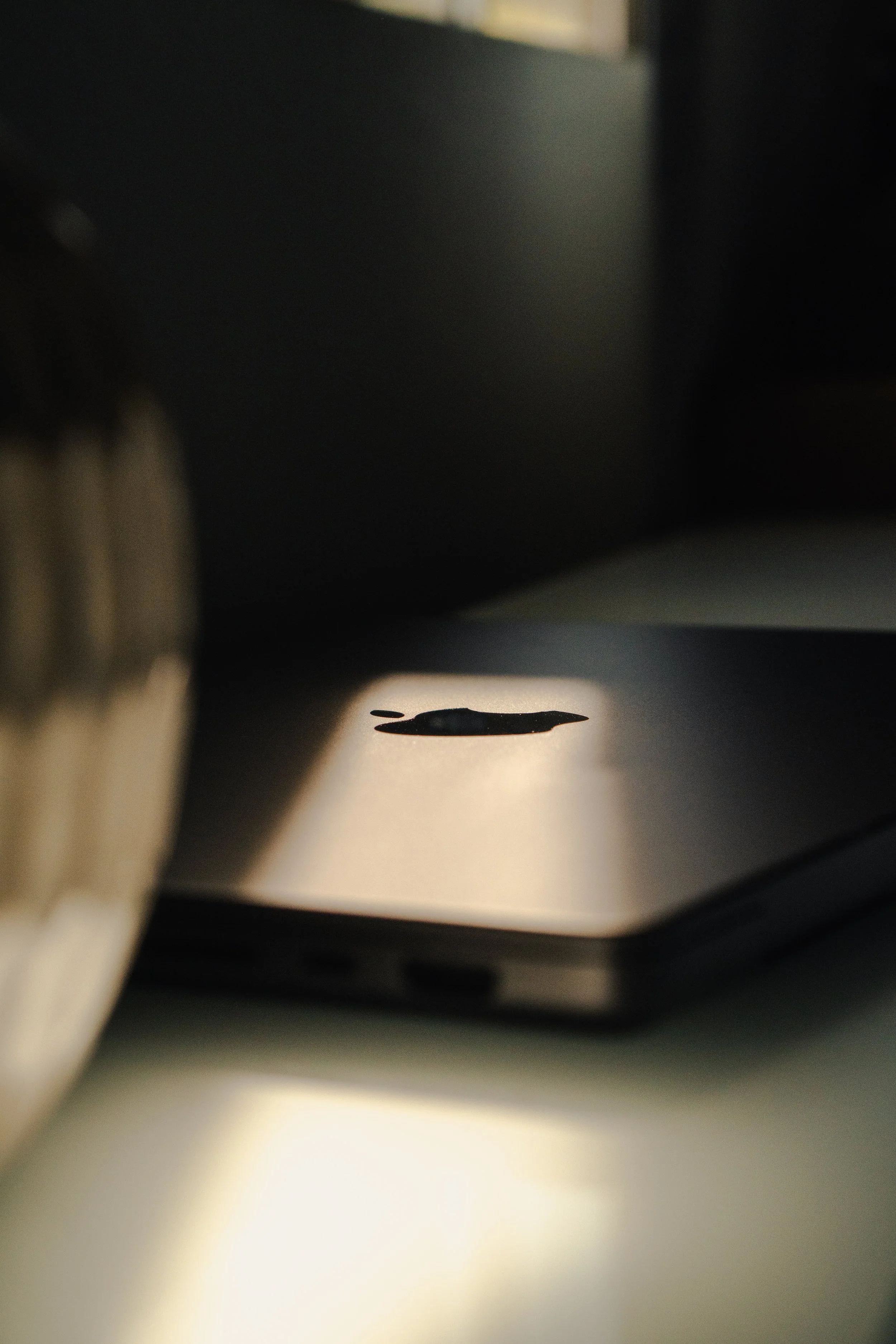 Apple.Apr26.8.jpg