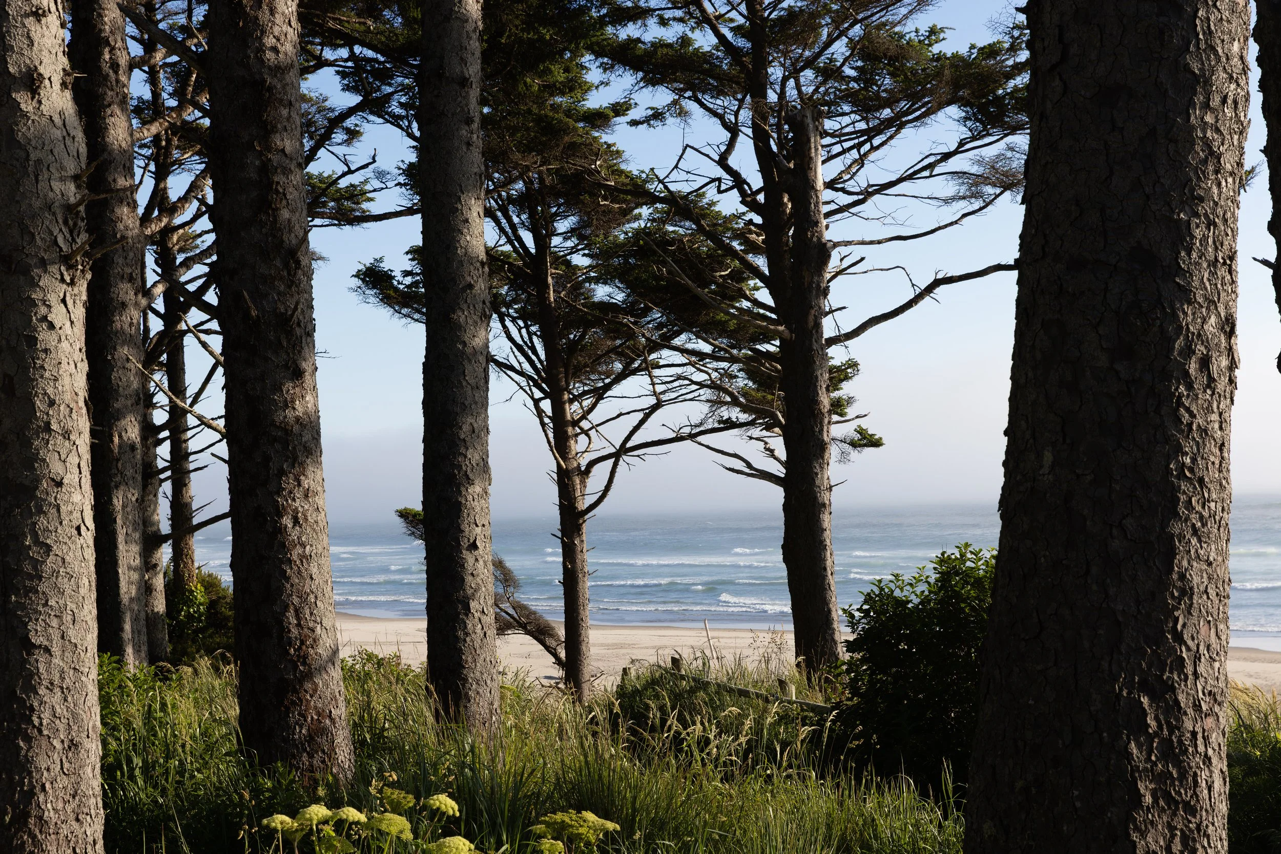 My Top 6 Oregon Coast Photo Locations