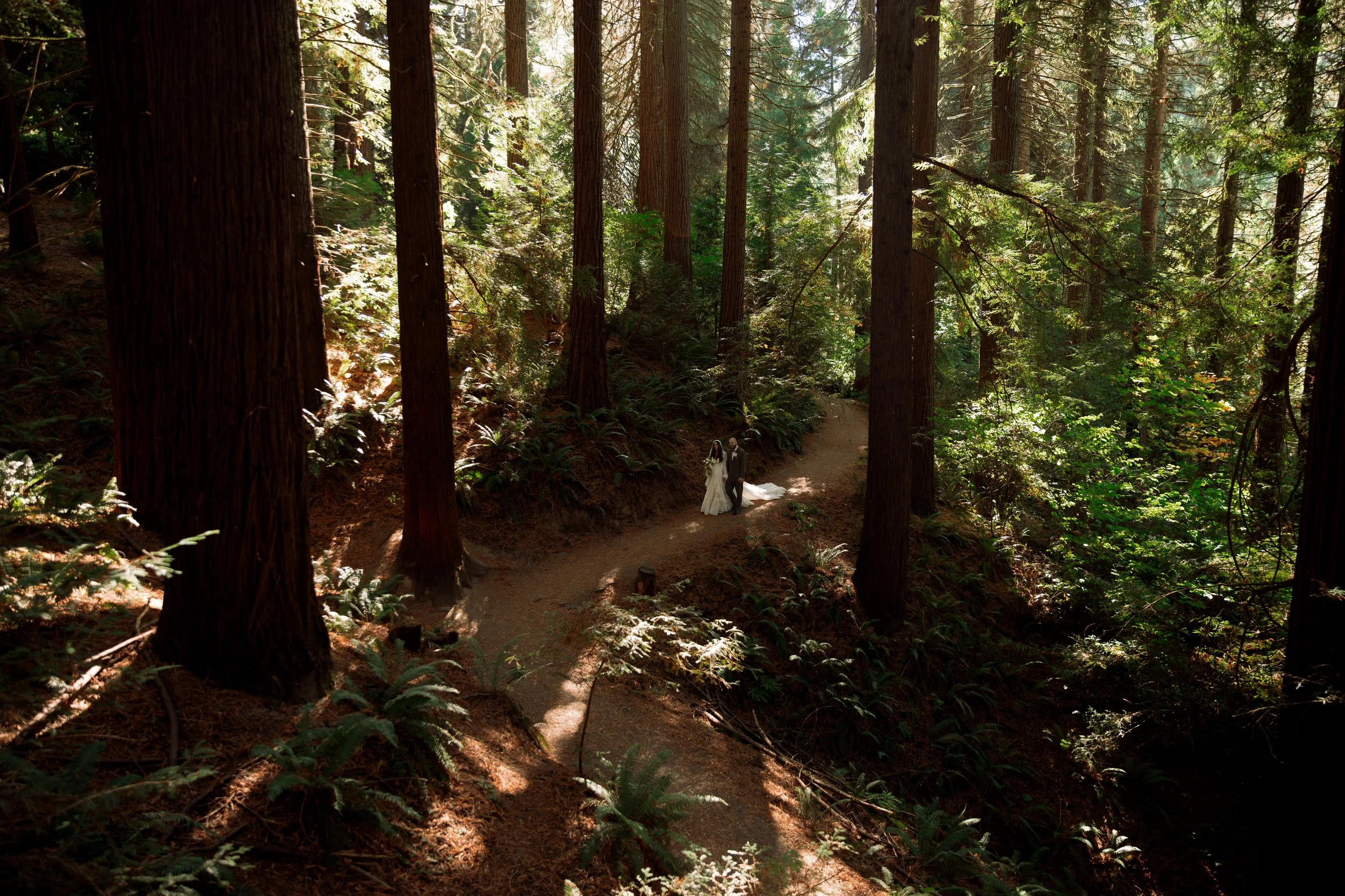 Oregon Wedding in the Forest a couple walking down a path surrounded by redwoods with light beaming through the trees. Destination photography, luxury wedding photographer, Bay Area wedding photographer
