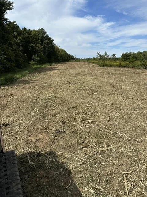 Image 5.jpeg