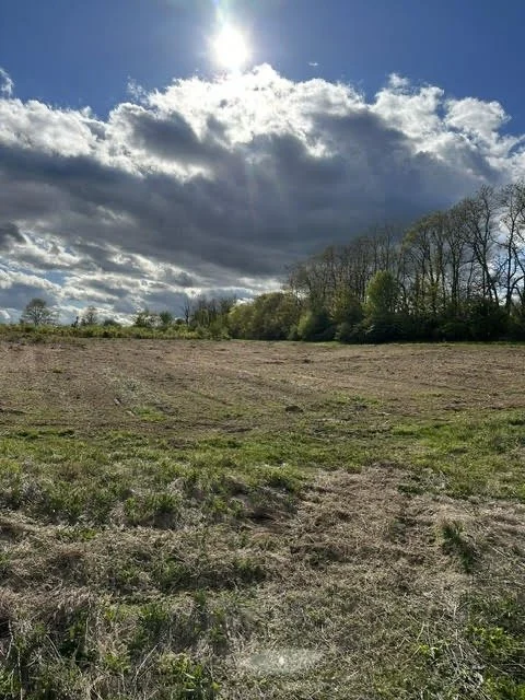 Image 12.jpeg