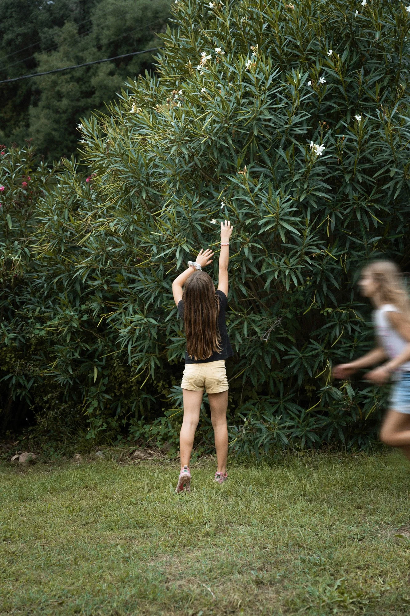 DSC02661-Edit copia 2.jpg