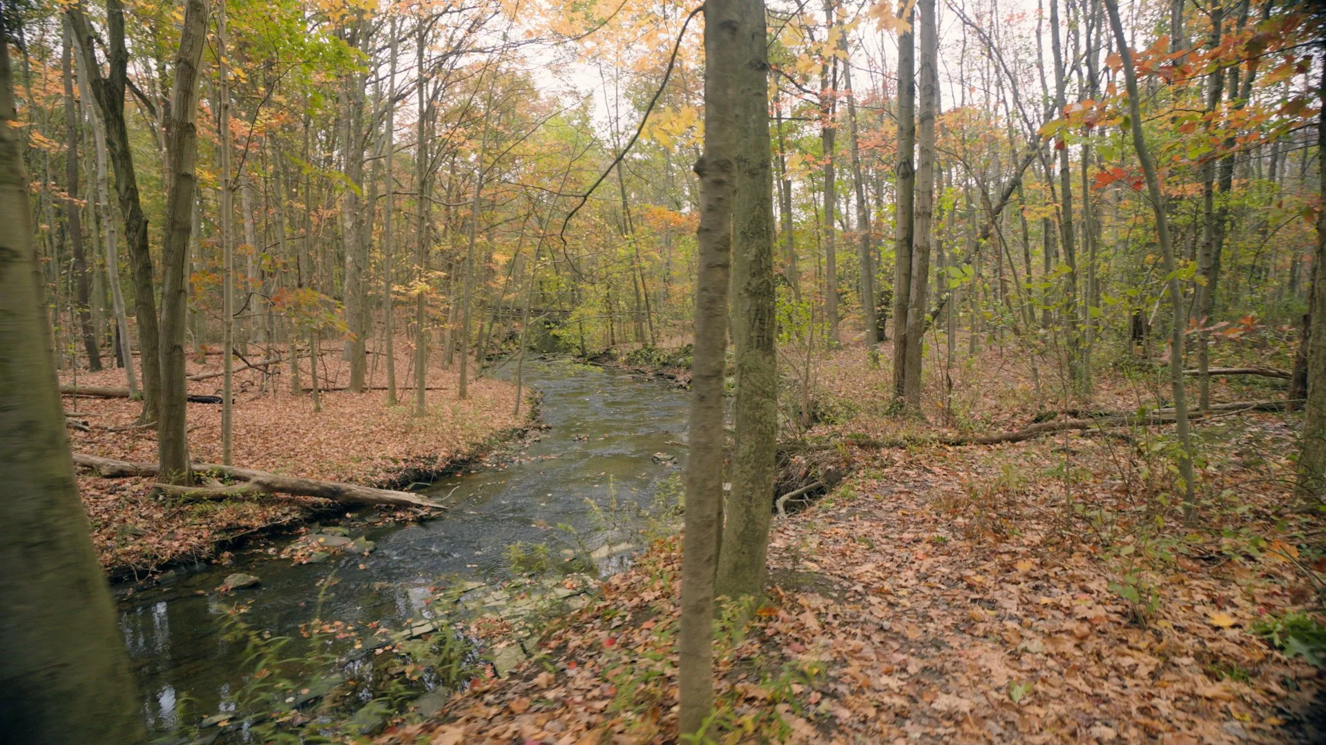 Day 2 Melt.00_04_20_07.Still009.jpg