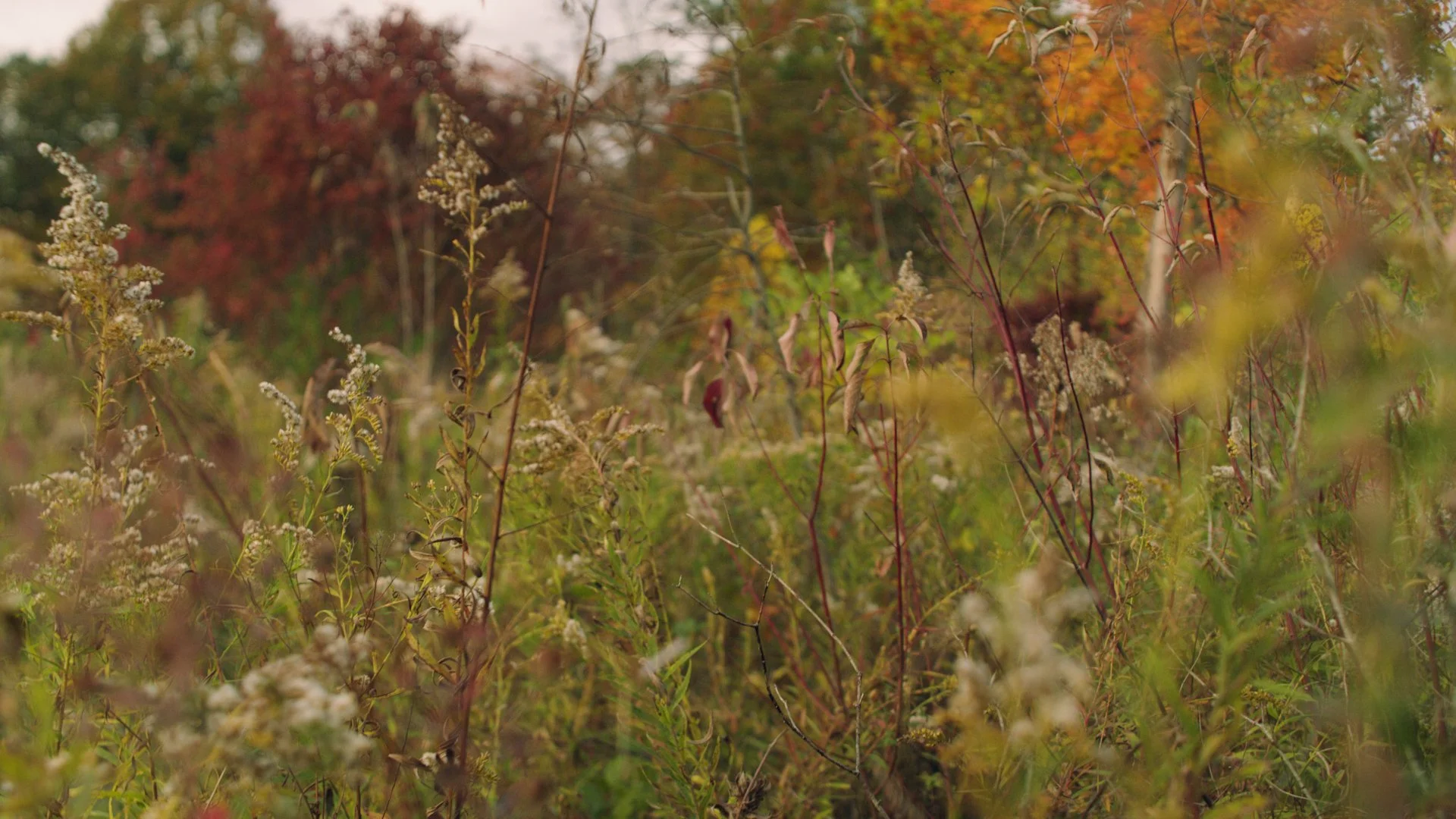 Day 2 Melt.01_13_02_15.Still037.jpg